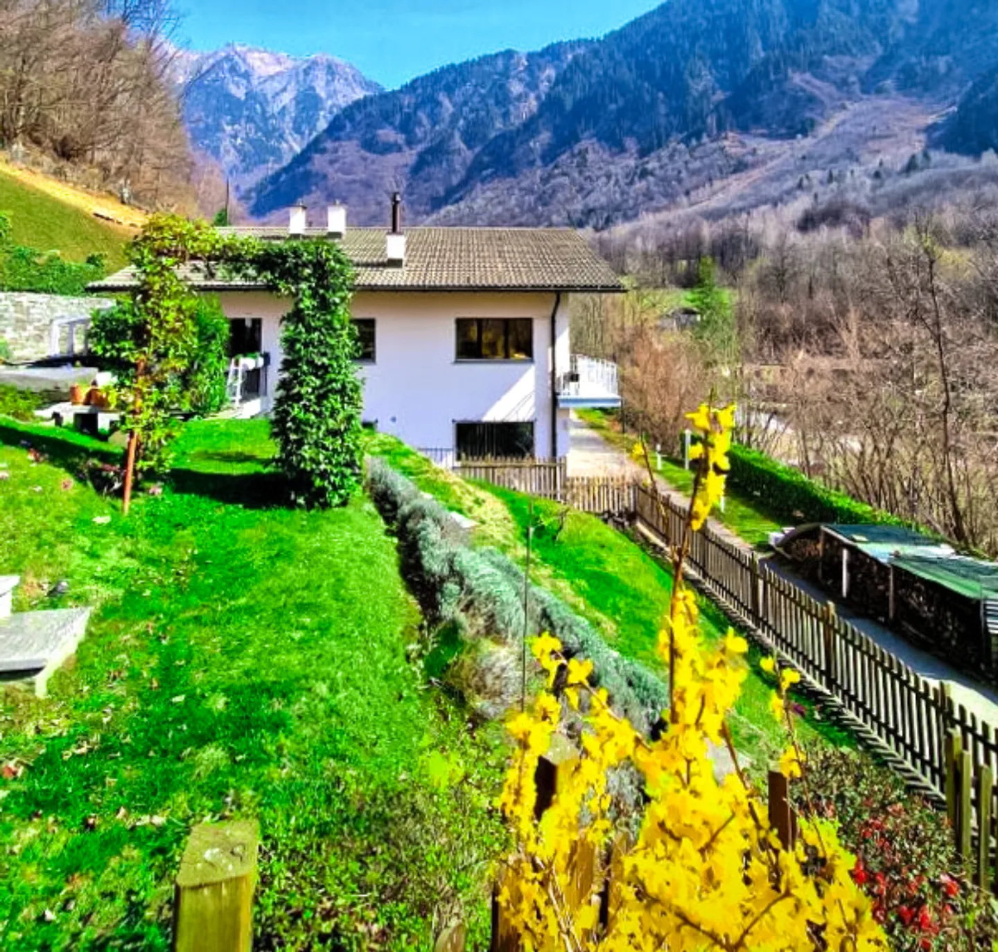 Oasi versatile: elegante bifamiliare nel verde, per vivere e lavorare - Foto 1 di 12