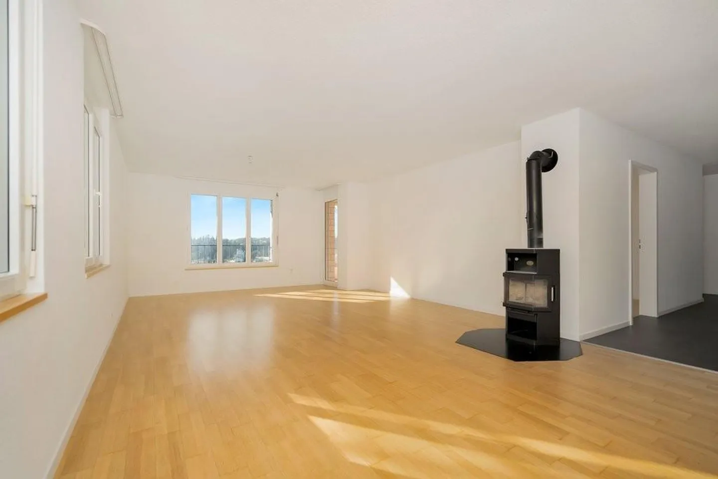 Plenty of space, plenty of light, plenty of views - Living above Laupen - Photo 2 of 11