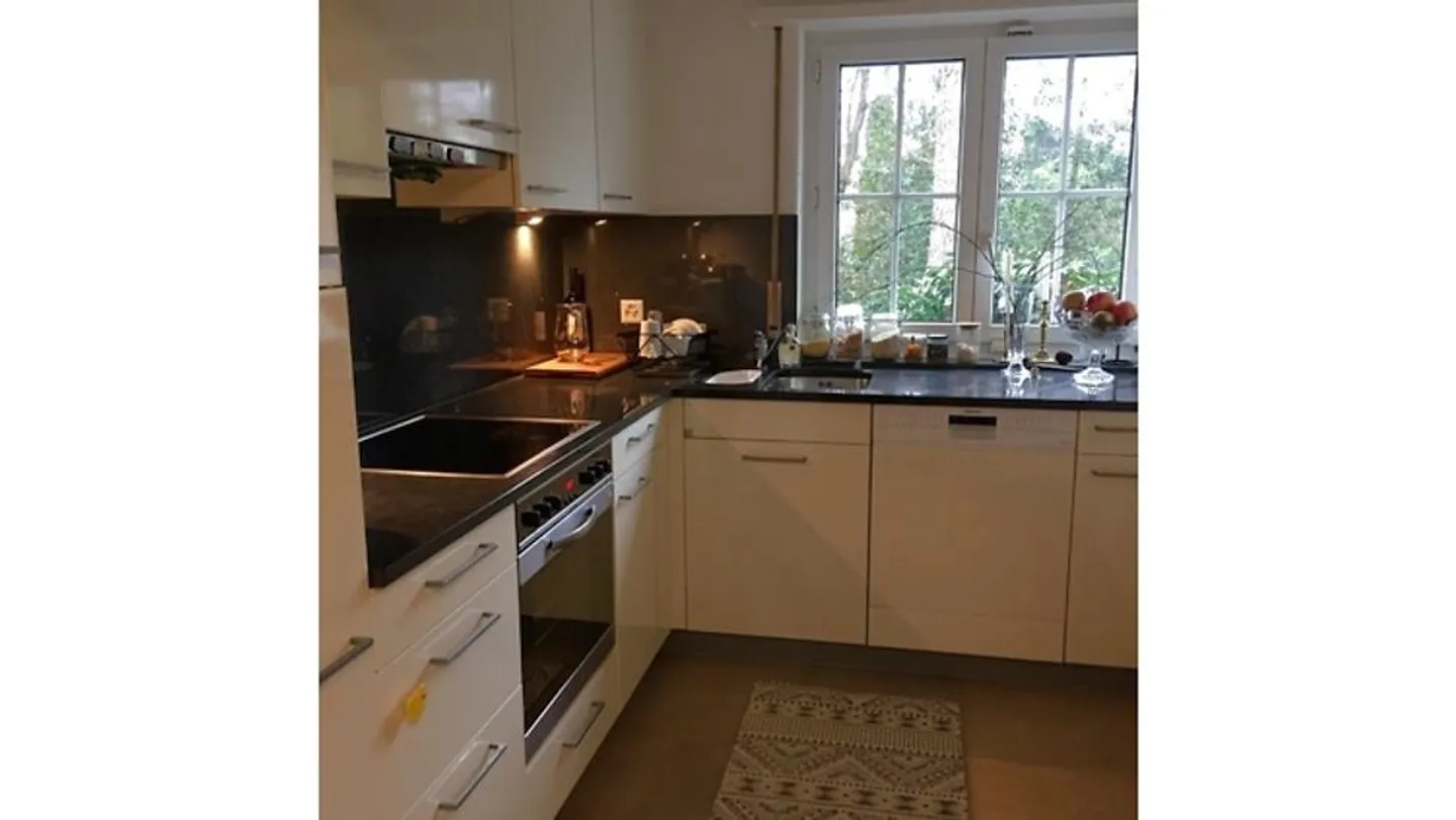 APPARTAMENTO 3 LOCALI A ZOLLIKERBERG (ZH), ARREDATO, TEMPORANEO - Foto 3 di 4