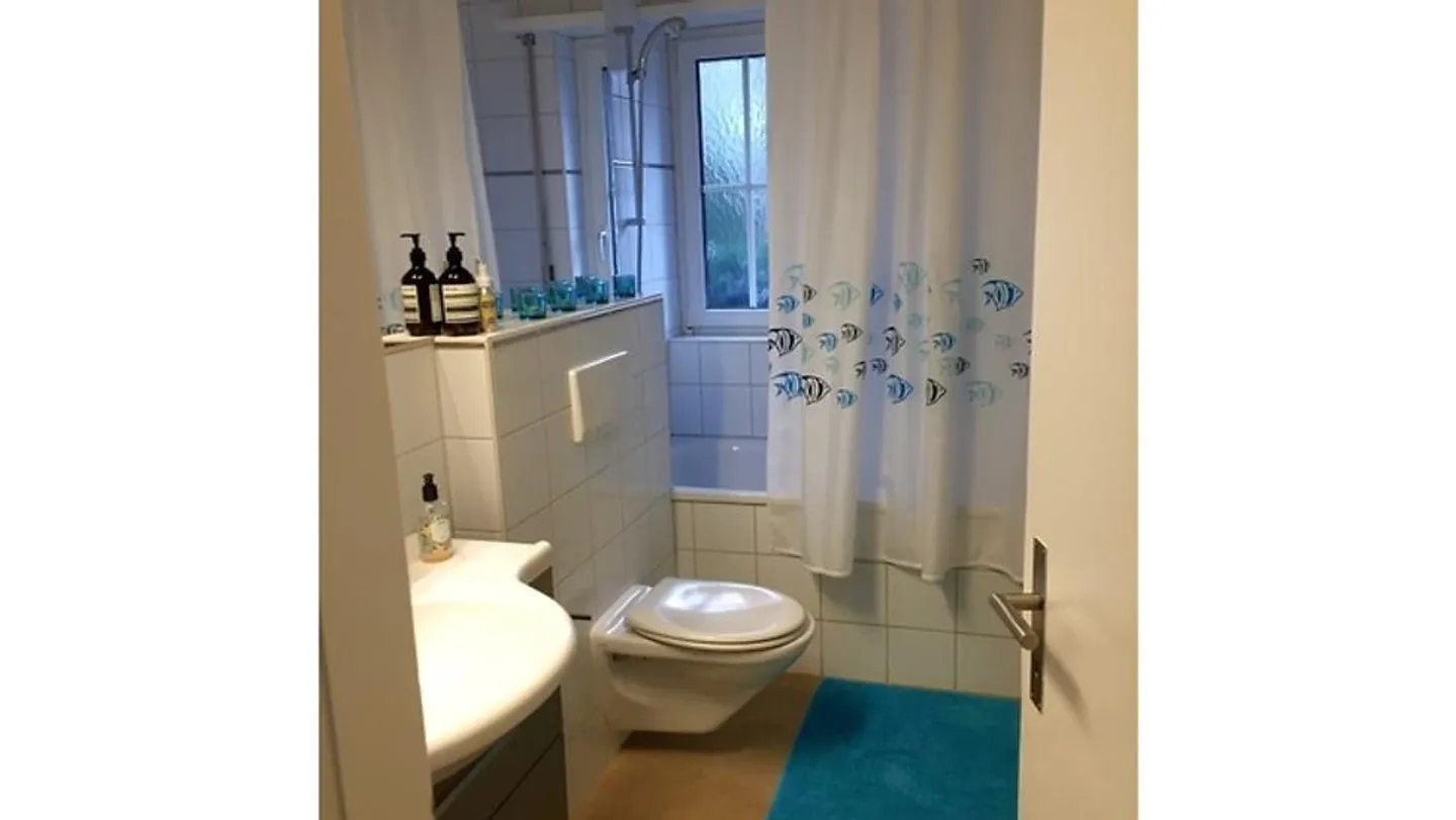 APPARTAMENTO 3 LOCALI A ZOLLIKERBERG (ZH), ARREDATO, TEMPORANEO - Foto 4 di 4