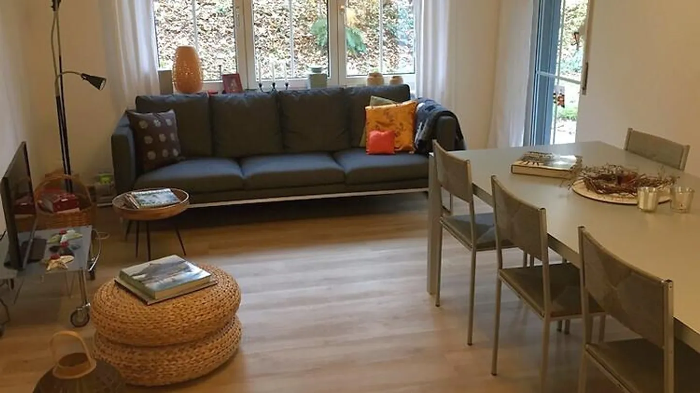 APPARTAMENTO 3 LOCALI A ZOLLIKERBERG (ZH), ARREDATO, TEMPORANEO - Foto 1 di 4