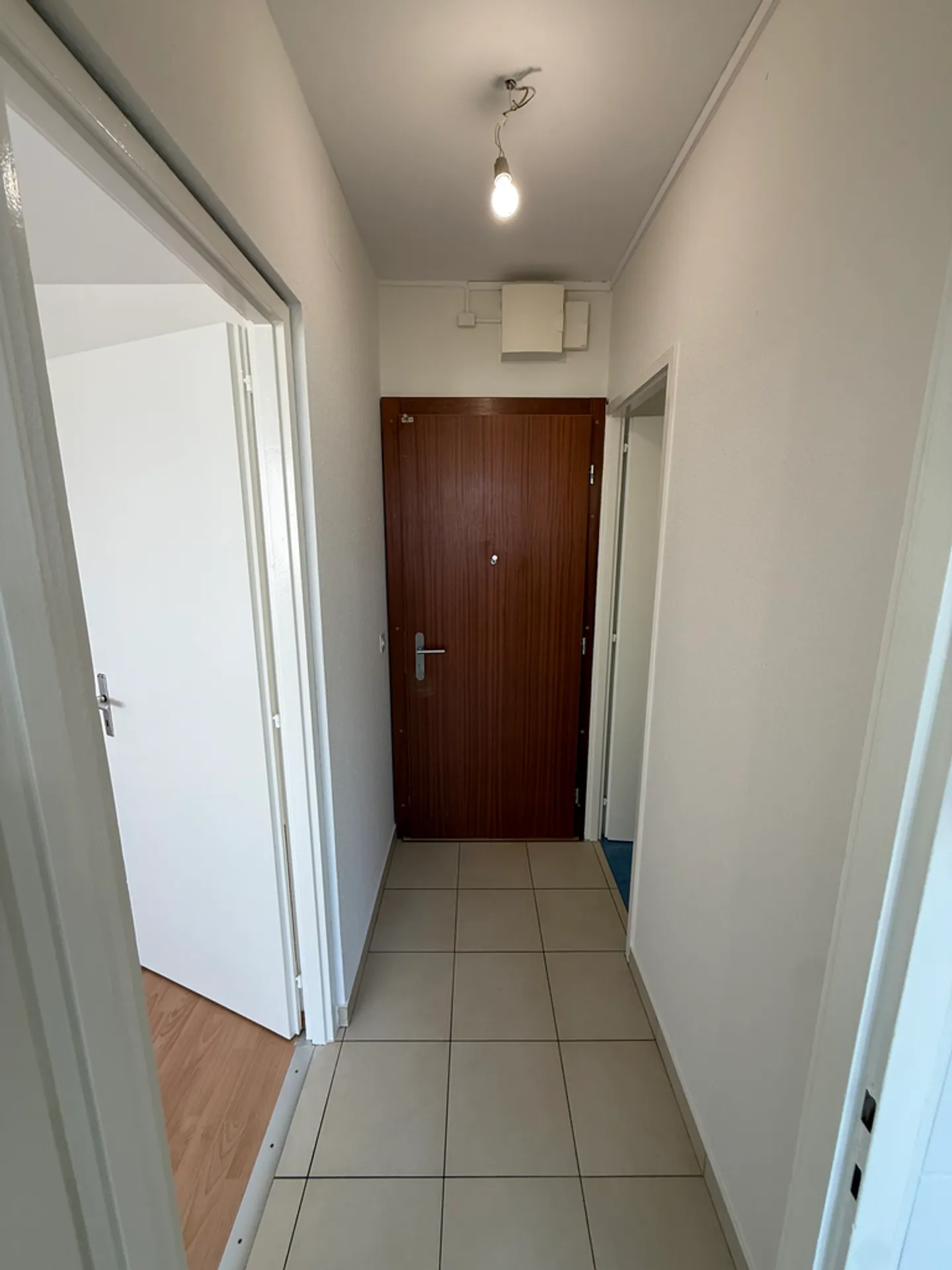 Bright 2-room apartment on the 7th floor in Onex - Photo 1 of 4