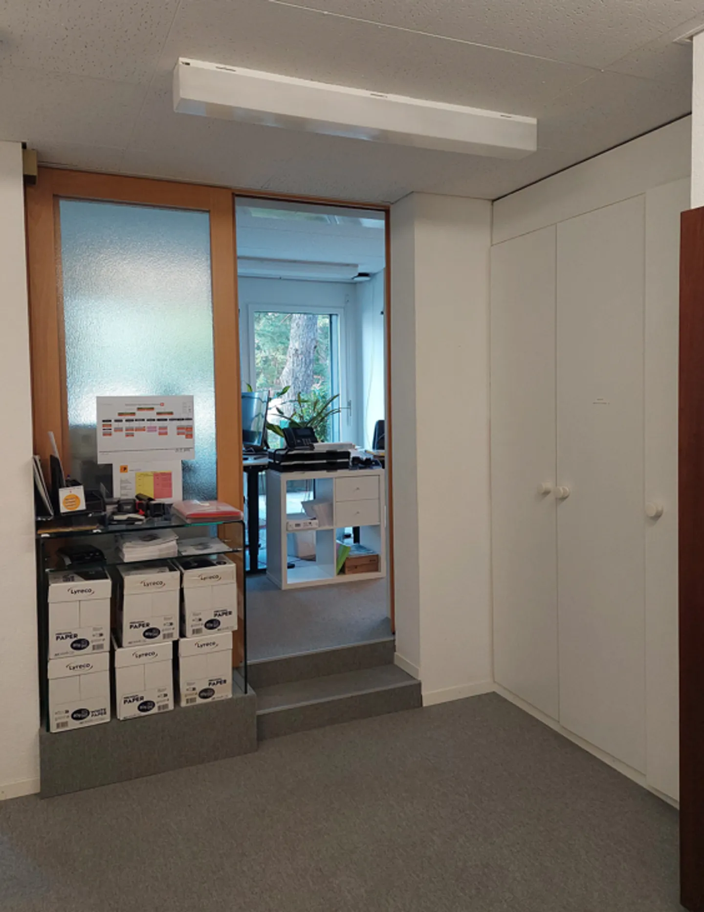 Locale - Foto 2 di 13