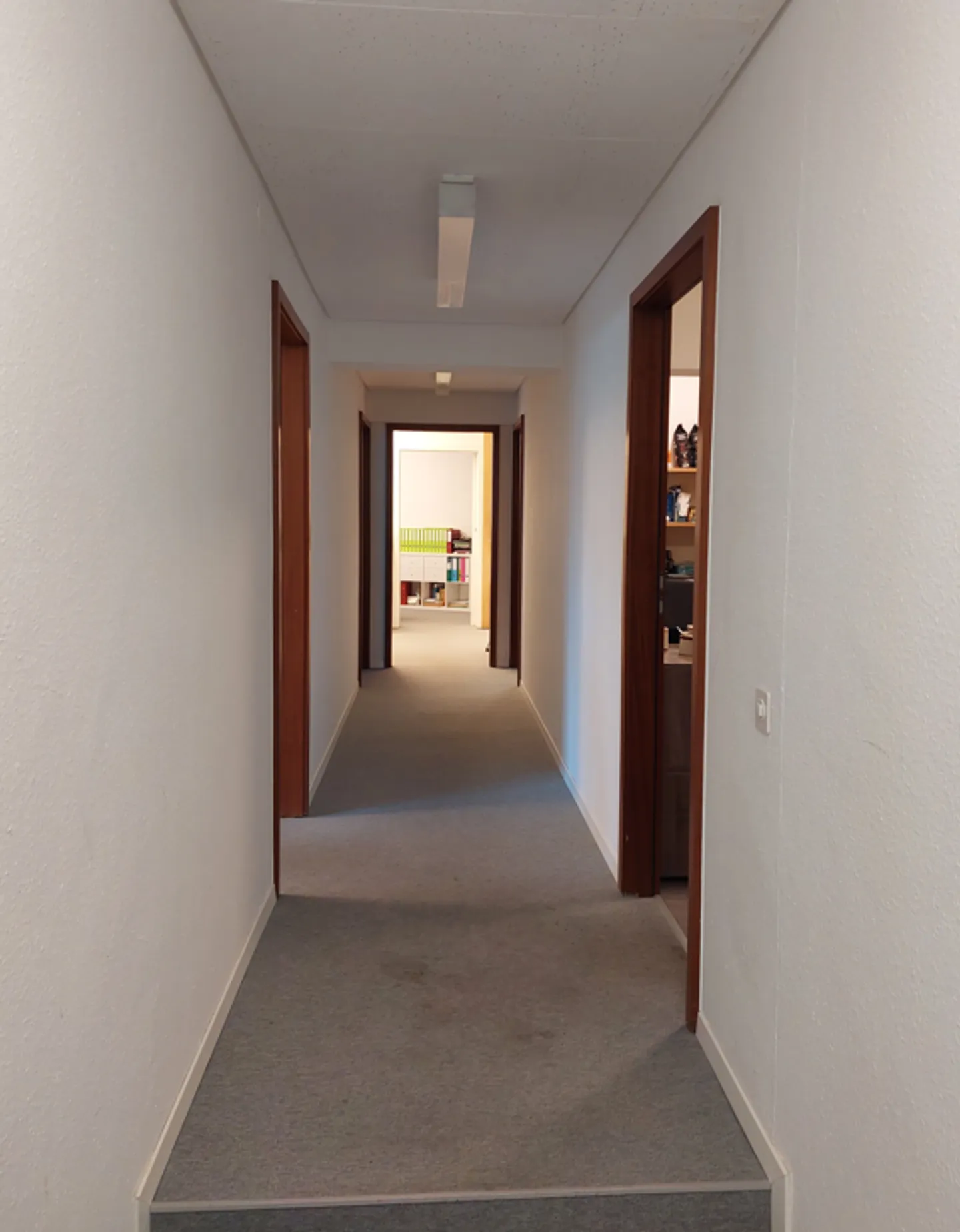 Locale - Foto 7 di 13