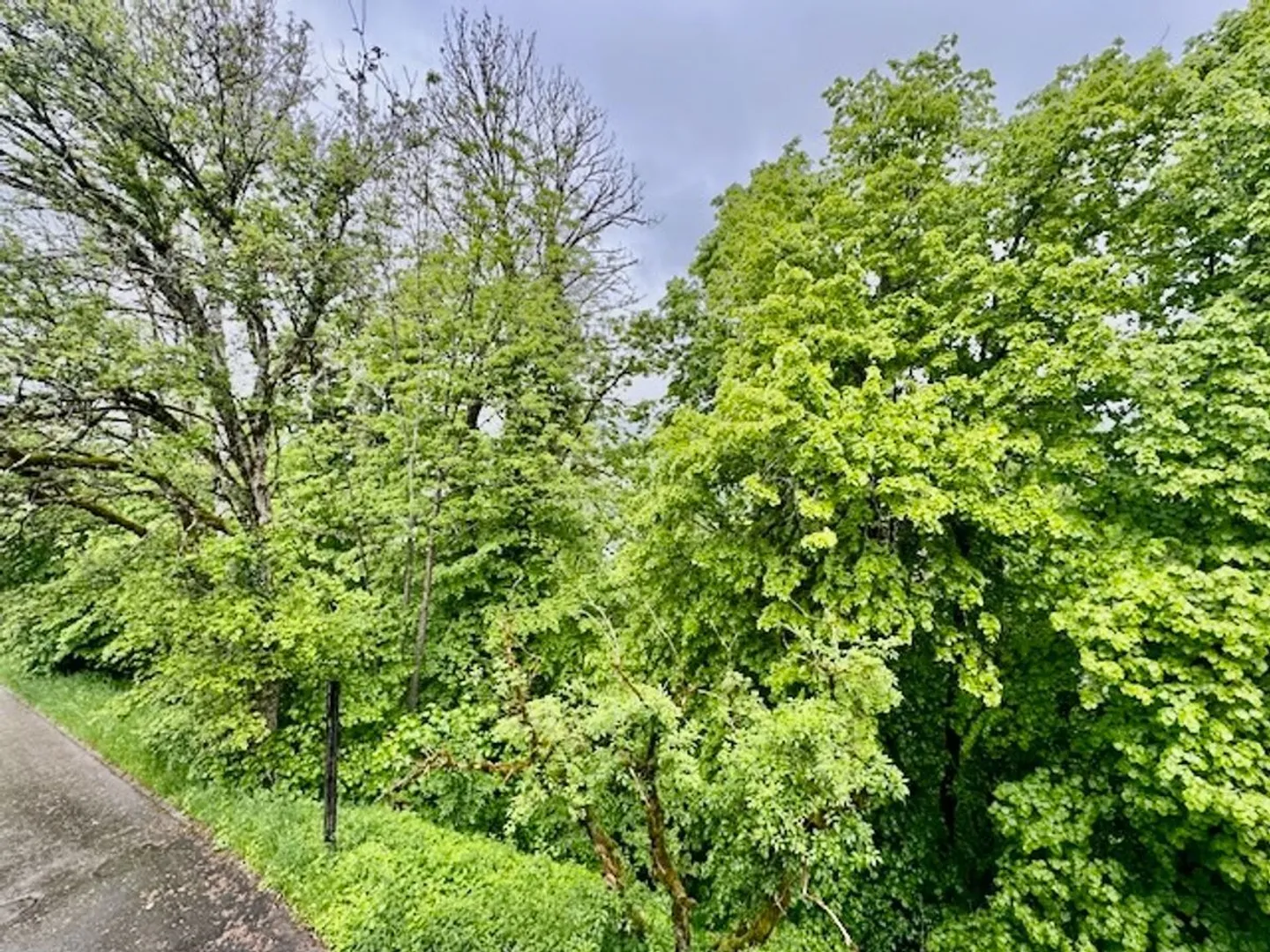 Exklusiv: Einfamilienhaus zur Renovierung in Brenets - Foto 3 von 13