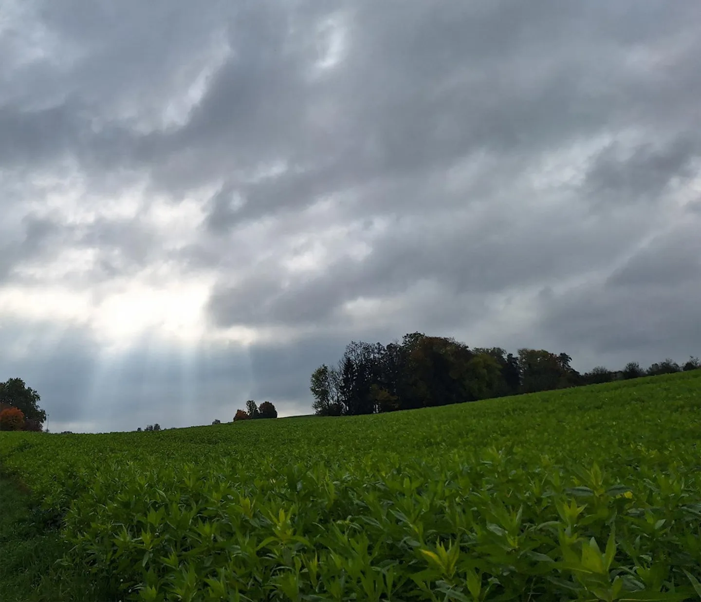 La tua nuova casa con vista - Foto 1 di 1