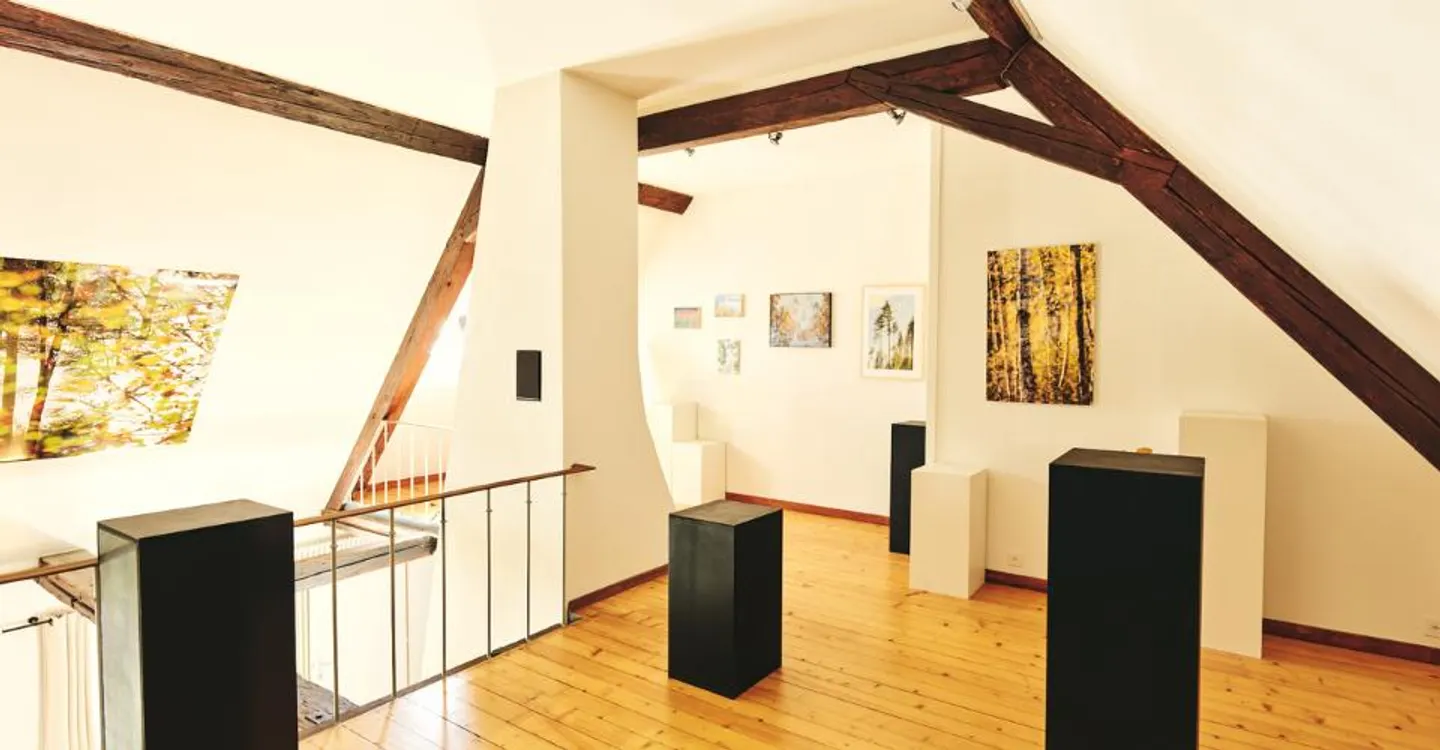 Prächtiges Herrenhaus ideal gelegen in Romont - Foto 4 von 11