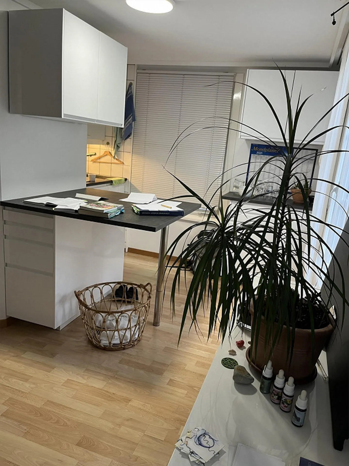 schöne 2-Zimmer Wohnung in Heiden - Foto 2 von 7