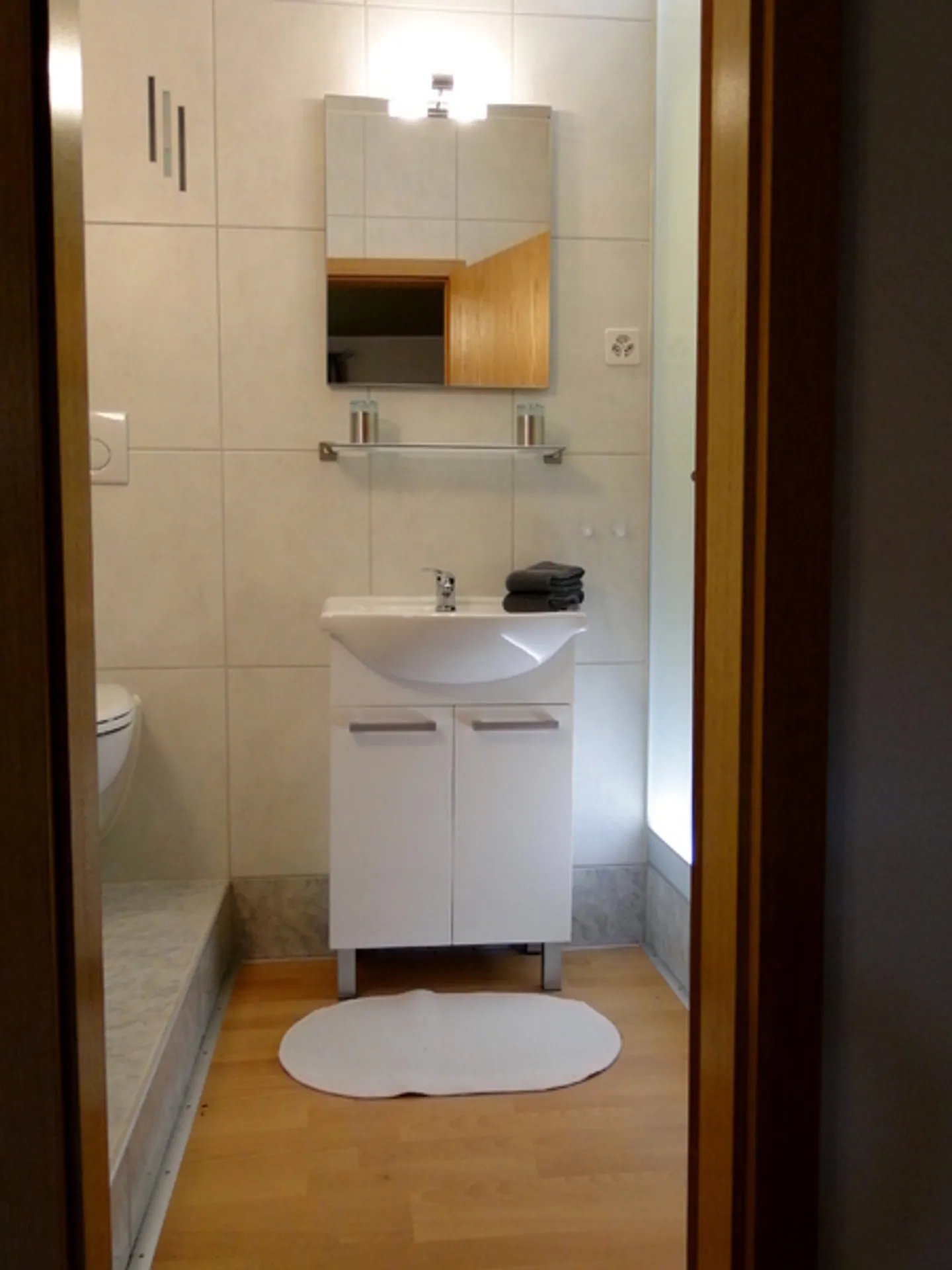 1 ROOM APARTMENT IN OBERGÖSGEN (SO), FURNISHED - Photo 4 of 6