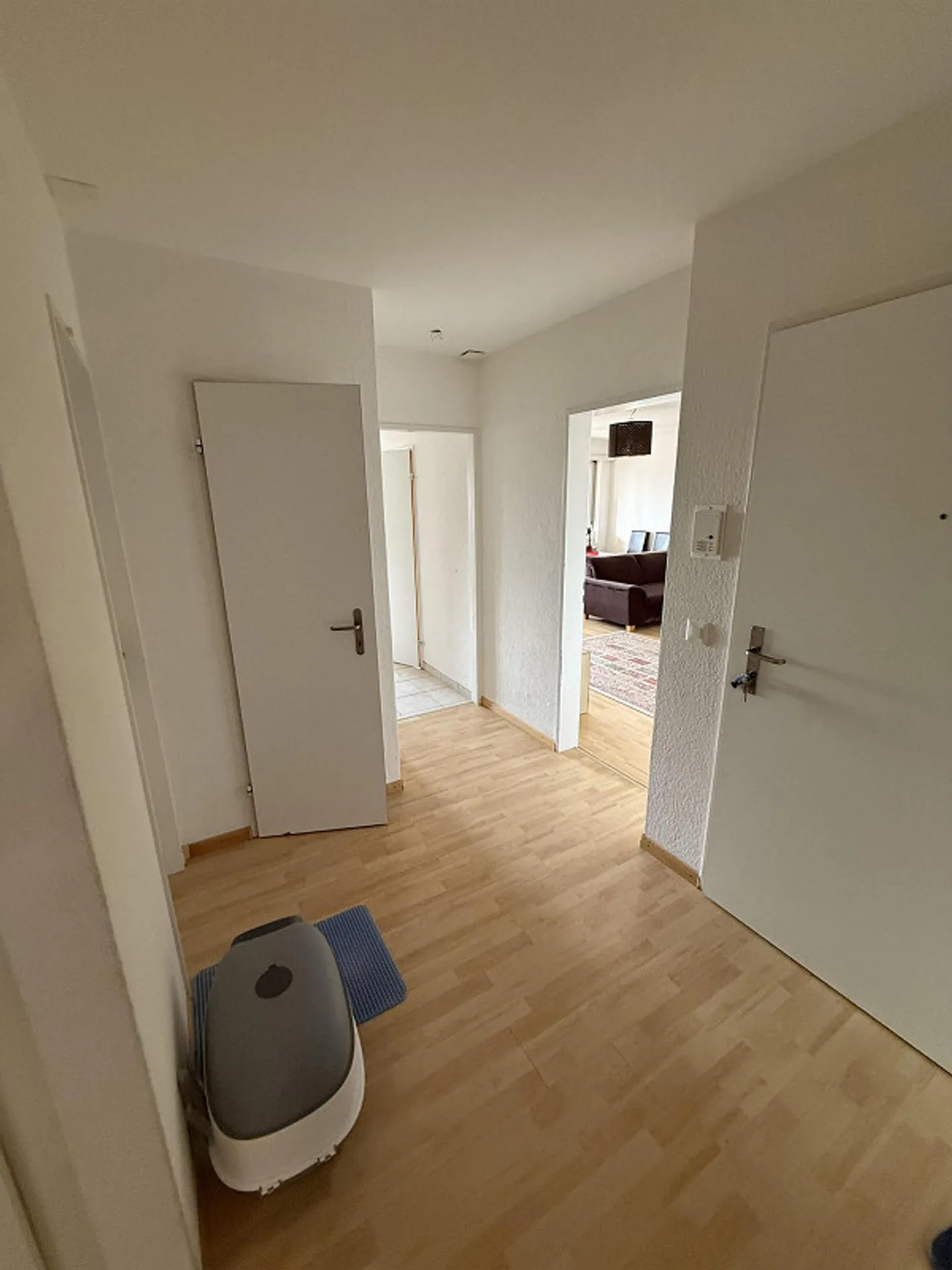 Appartamento 4 locali a Berikon – limitato fino al 30.09.2026 - Foto 8 di 14