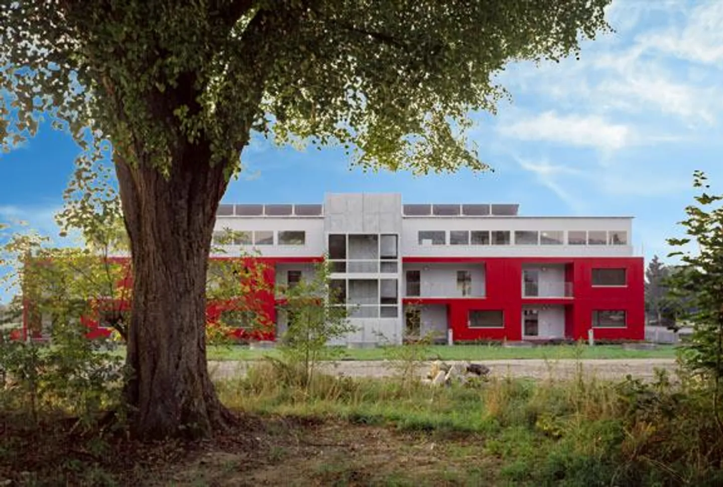 Ottimo appartamento di 2,5 locali a Härkingen - Foto 1 di 8