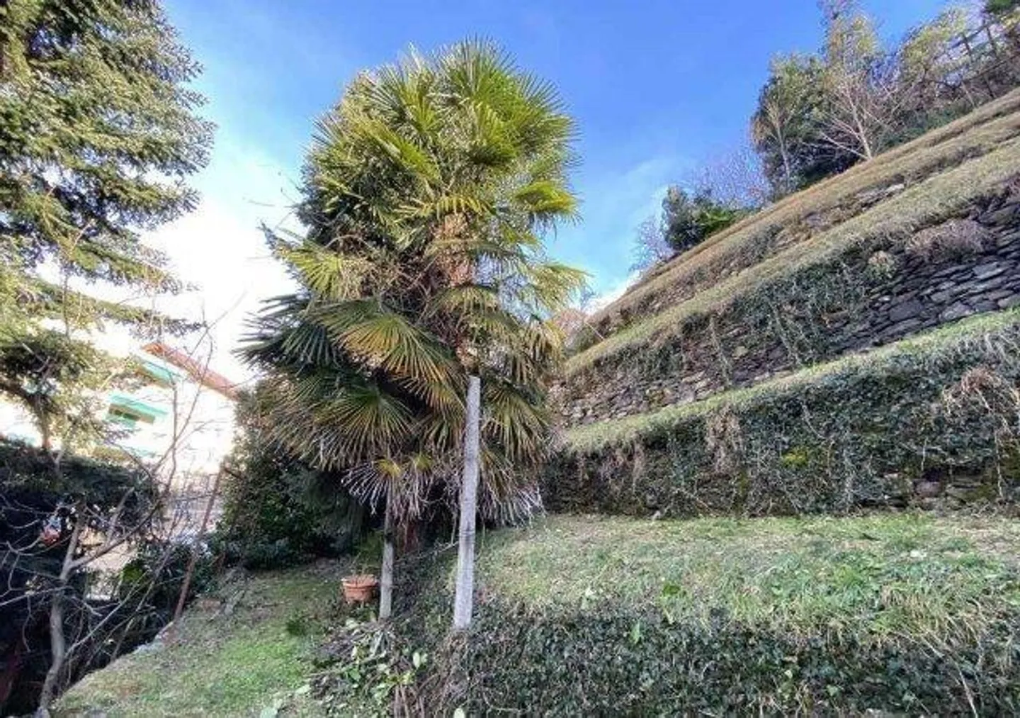 «Terreno edificabile di 1000m2 in posizione molto centrale /  Baulandgrundstück von 1000m2 an sehr zentraler Lage» - Foto 3 di 6