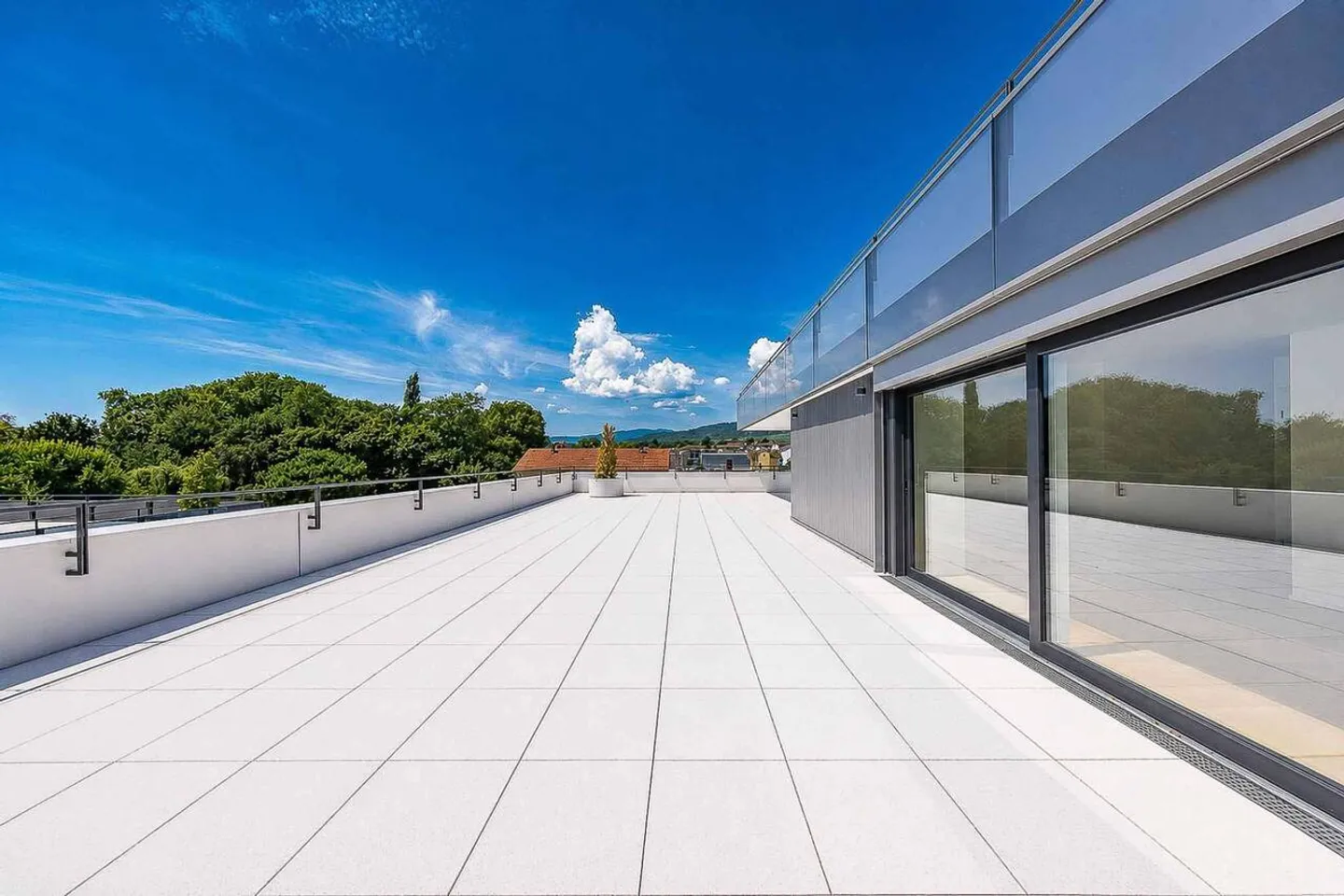 Lussuoso appartamento di 4.5 stanze con terrazza e ascensore privato - Foto 7 di 13