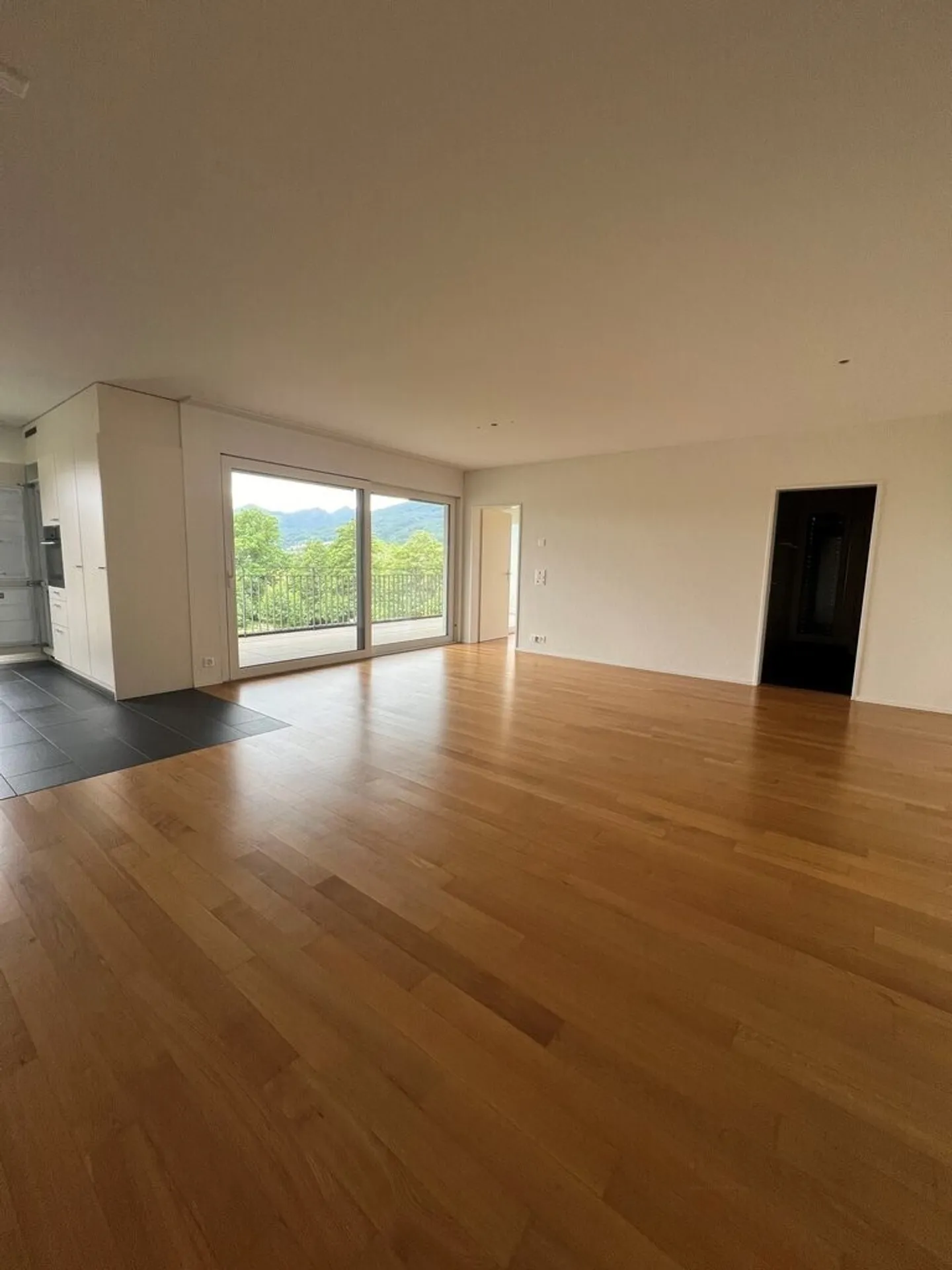 3.5 Room Apartment - Photo 2 of 7