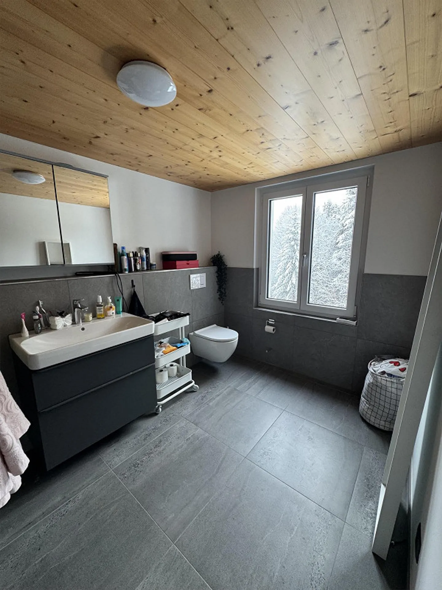 Charming, newly renovated apartment in the green - Photo 4 of 16