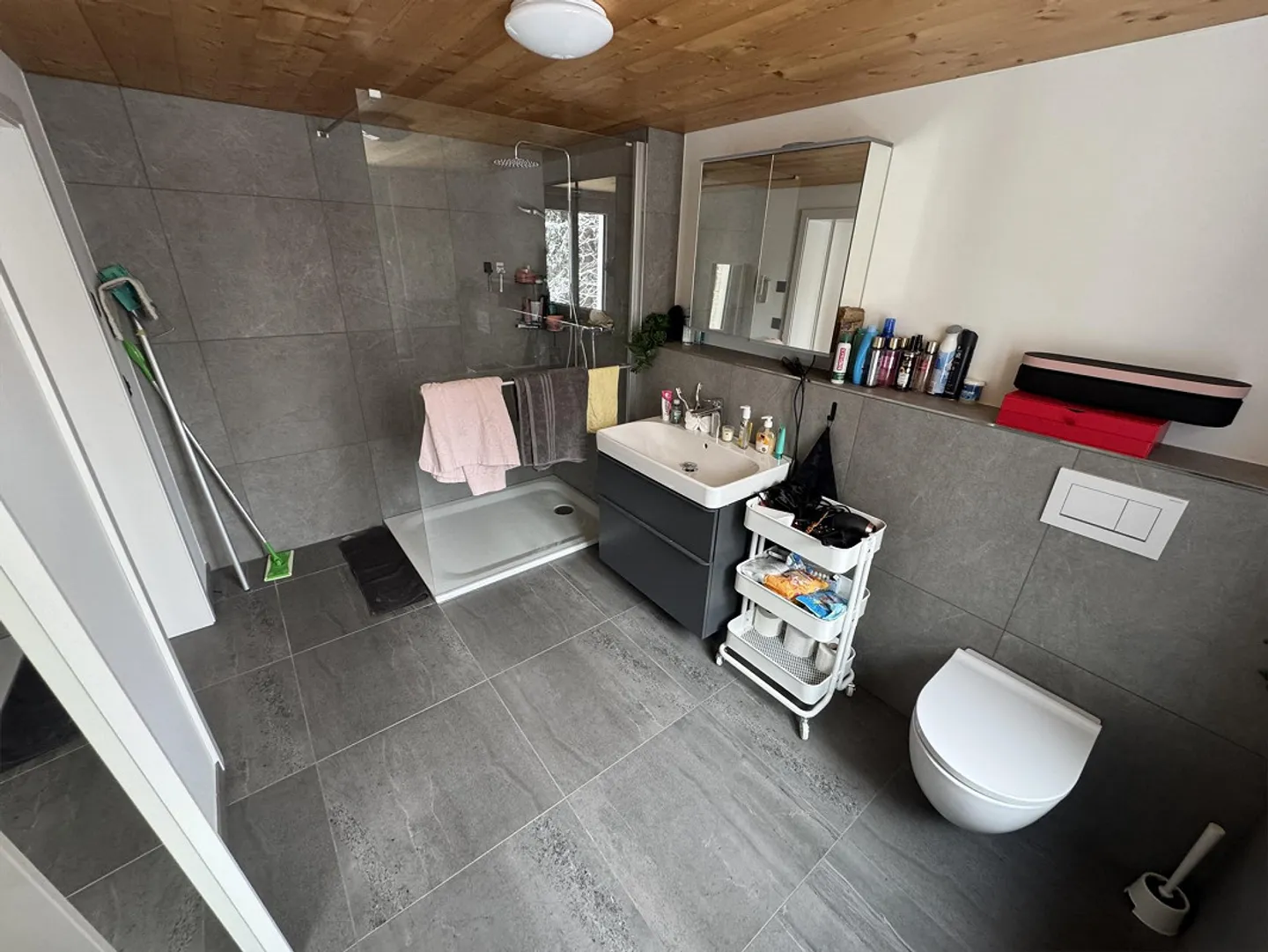 Charming, newly renovated apartment in the green - Photo 5 of 16