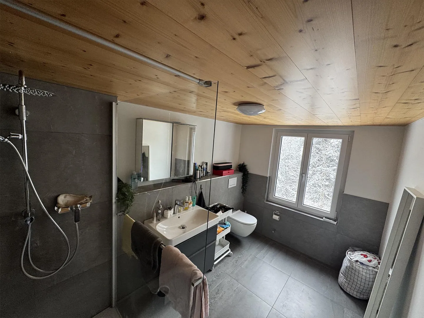 Charming, newly renovated apartment in the green - Photo 7 of 16