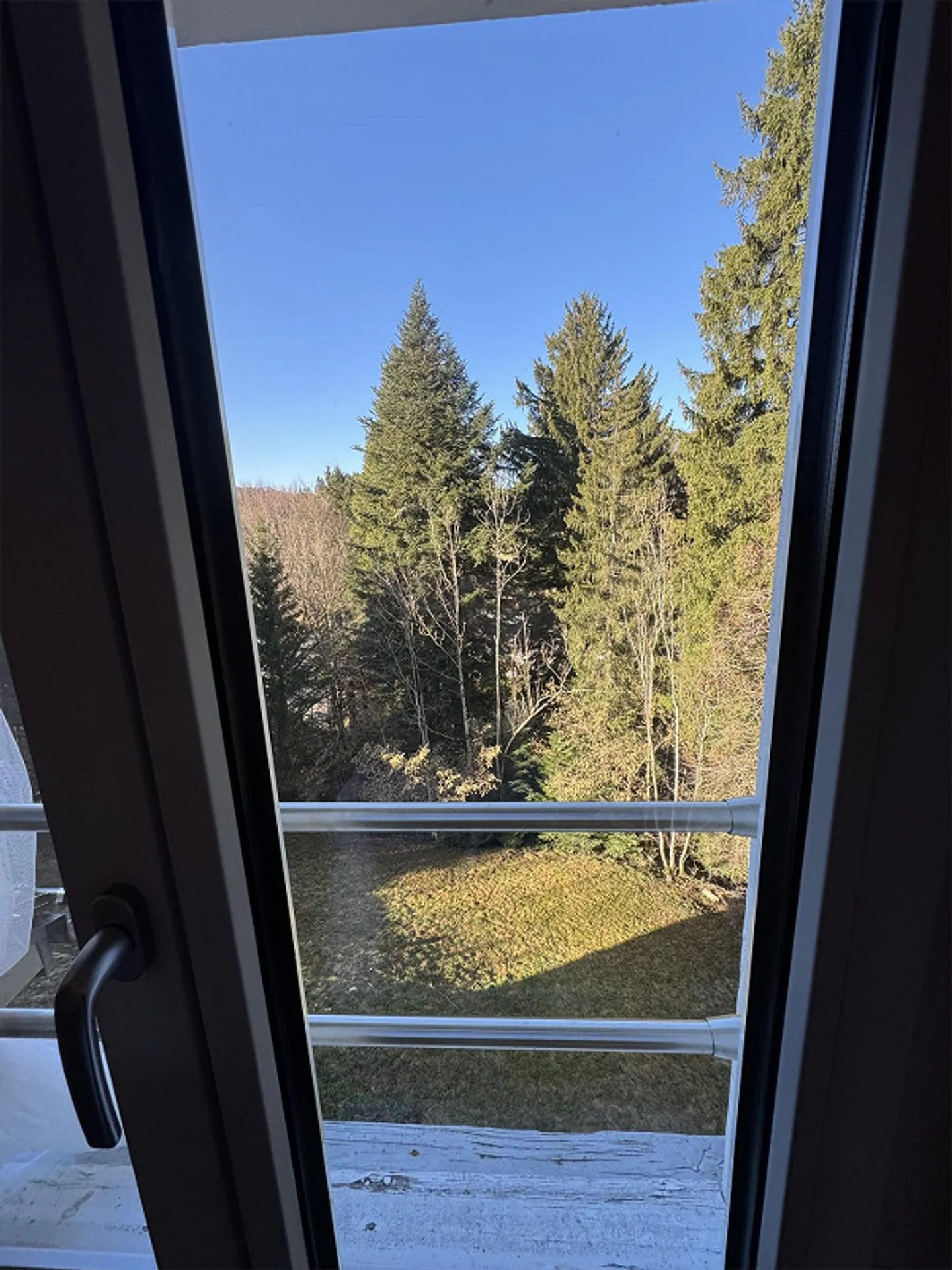 Charming, newly renovated apartment in the green - Photo 8 of 16