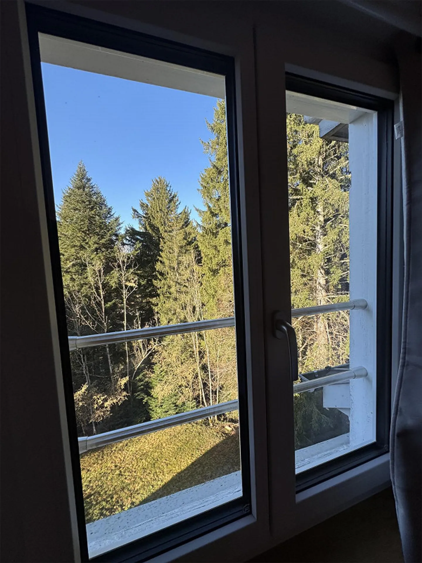 Charming, newly renovated apartment in the green - Photo 9 of 16