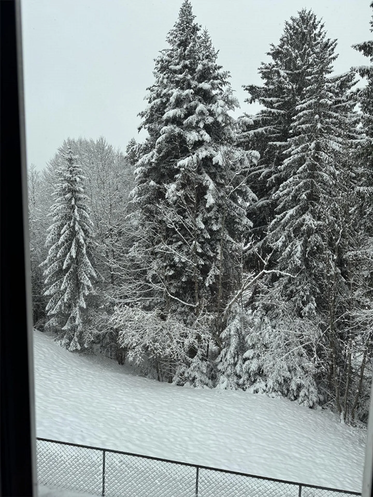 Charming, newly renovated apartment in the green - Photo 15 of 16