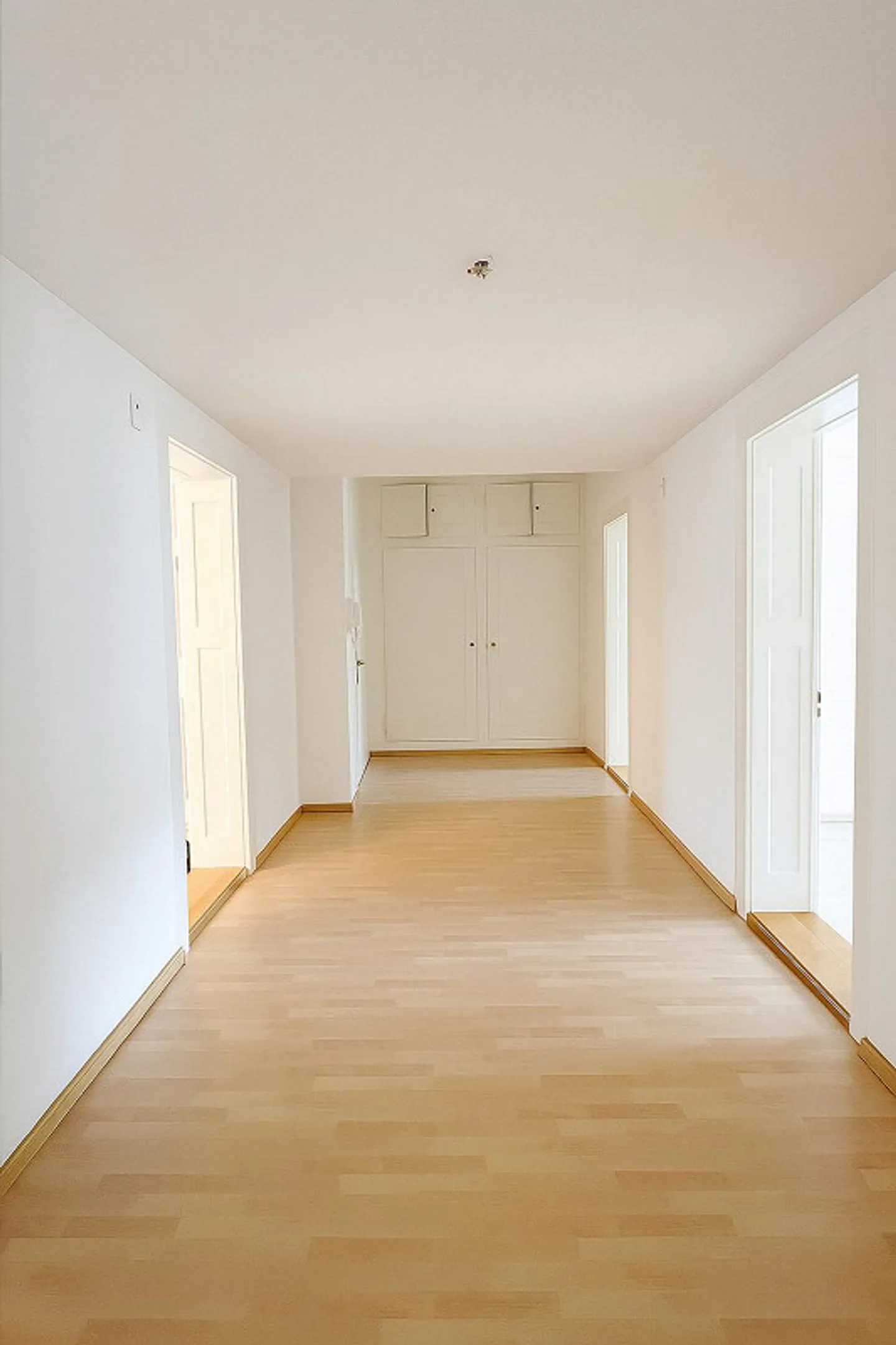 Stylish 3.5-room old building apartment with south terrace in St. Gallen - Photo 4 of 12