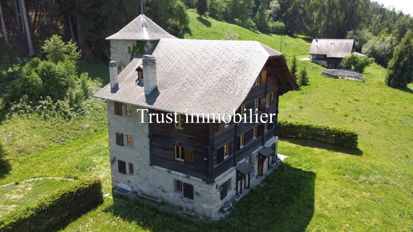 6009.Ferienhaus / Schloss komplett renoviert. Les Mayens-de-Sion - Foto 12 von 13