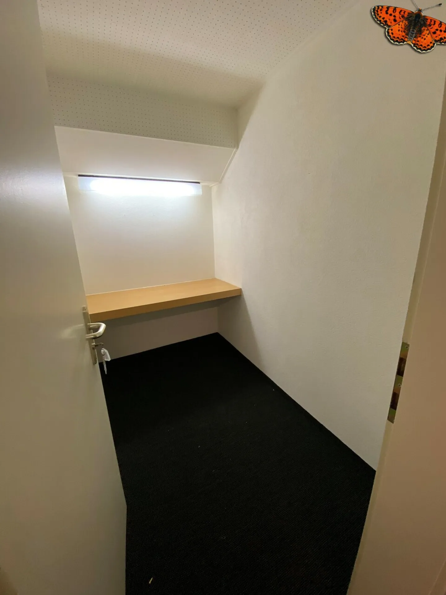 Espace de stockage à louer - Photo 1 sur 4