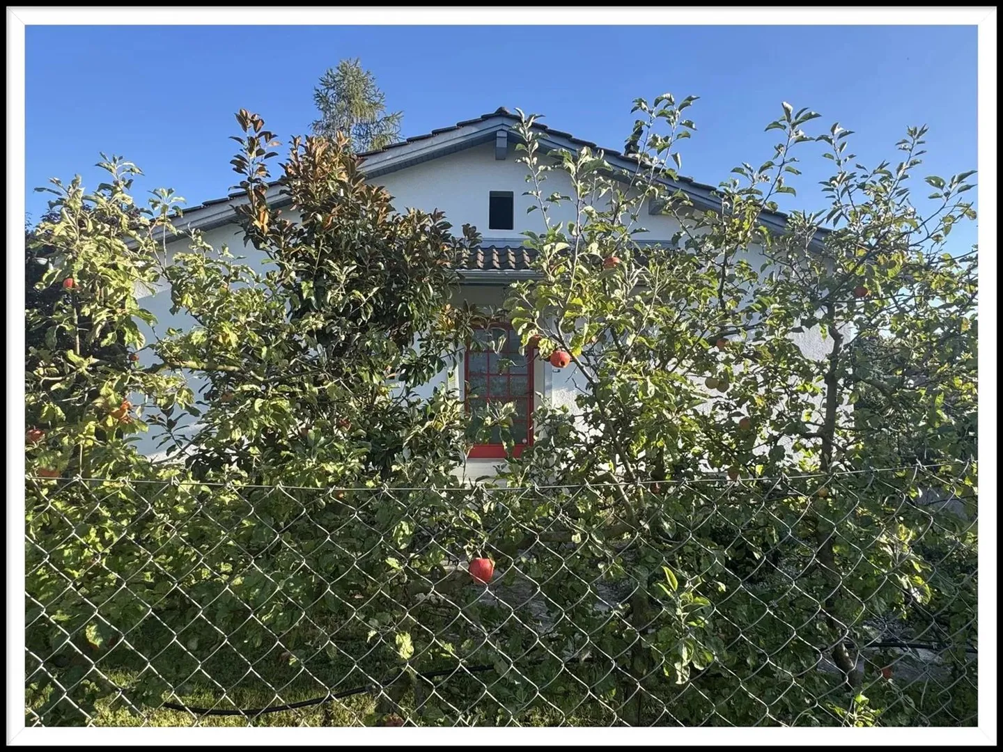 Villa 4.5 Zimmer - Foto 1 von 8