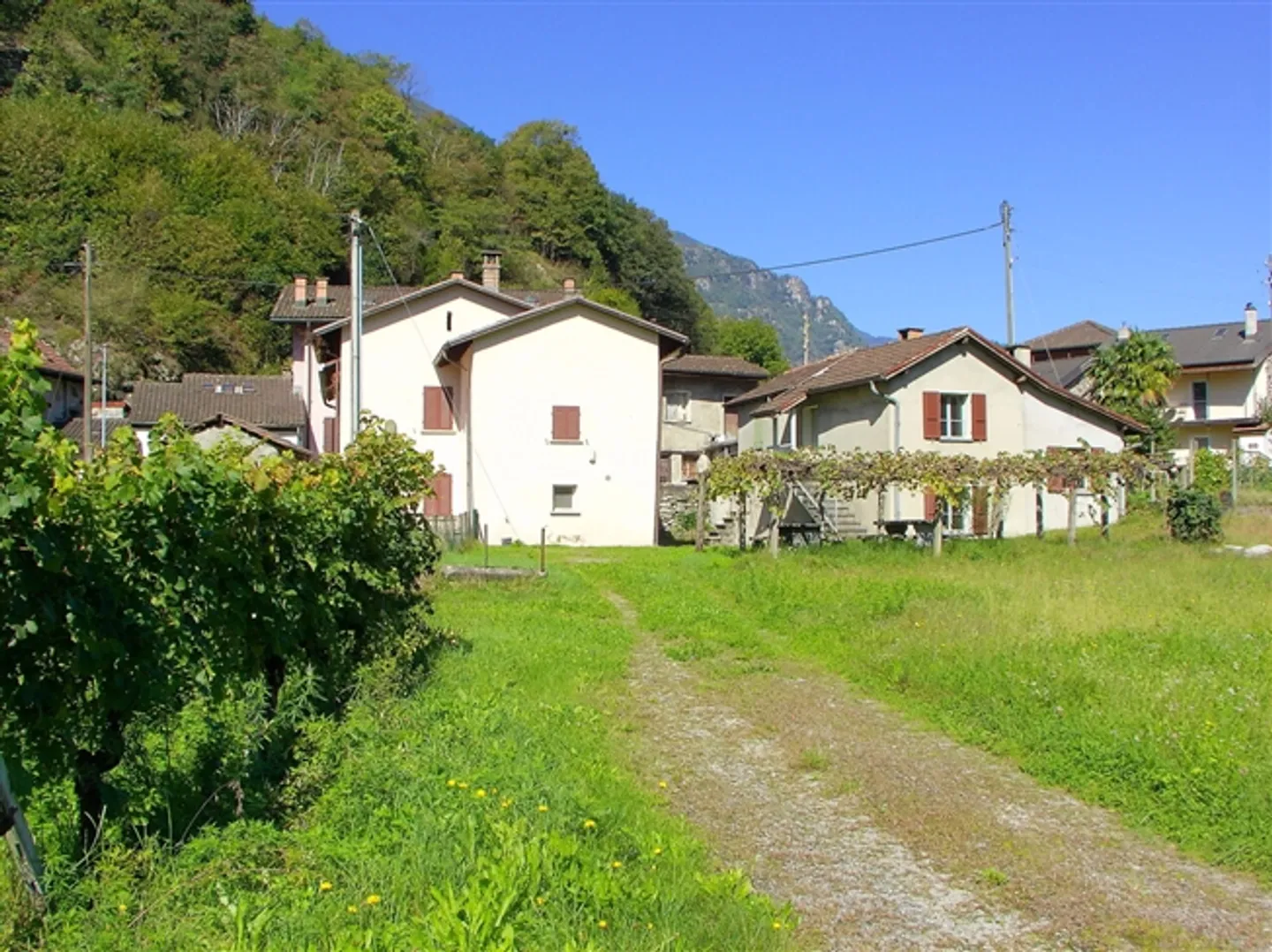 Cooperative New Construction Settlement with 1½ - 3½ Room Apartments - Photo 3 of 11