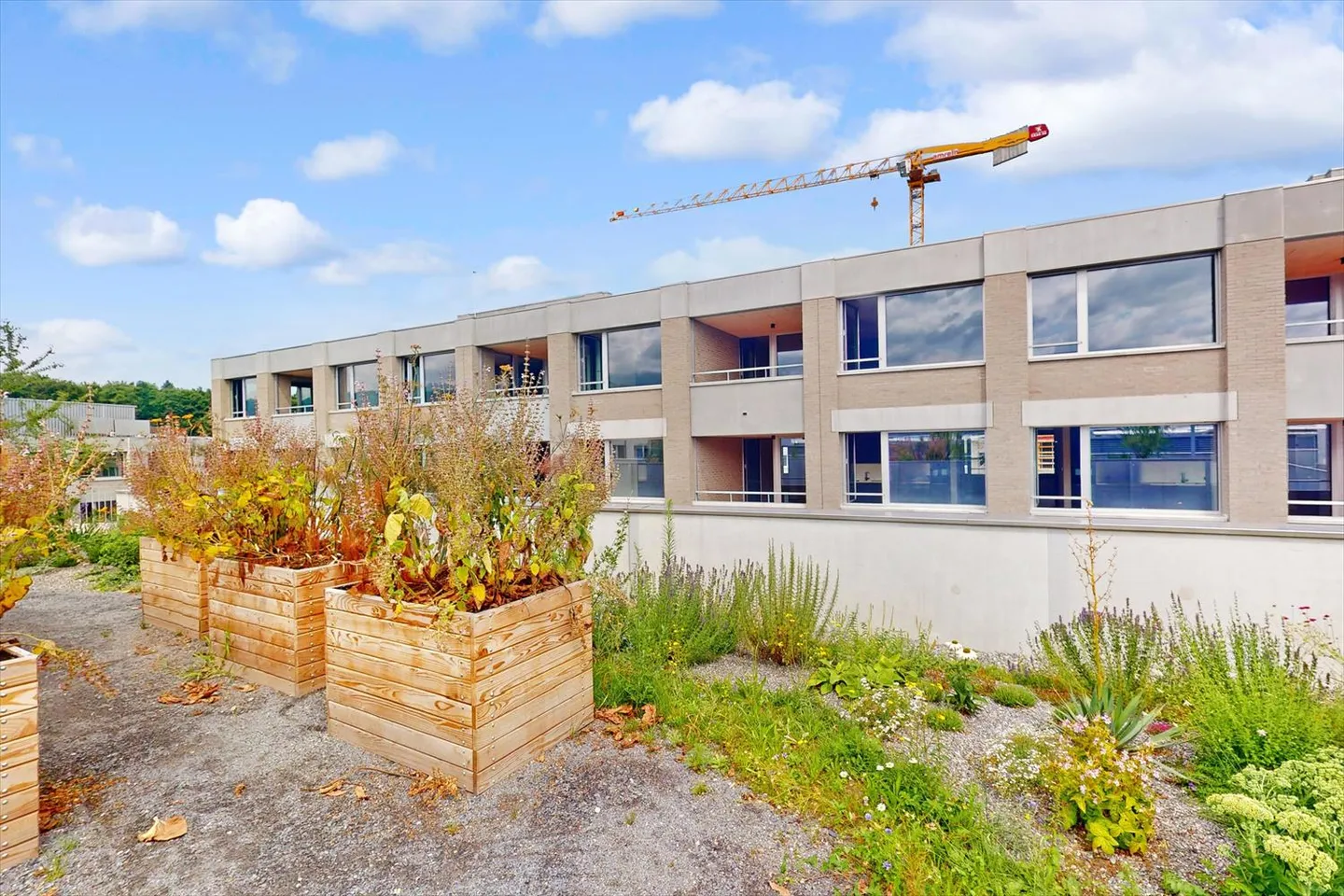 Loft in affitto - Foto 1 di 10