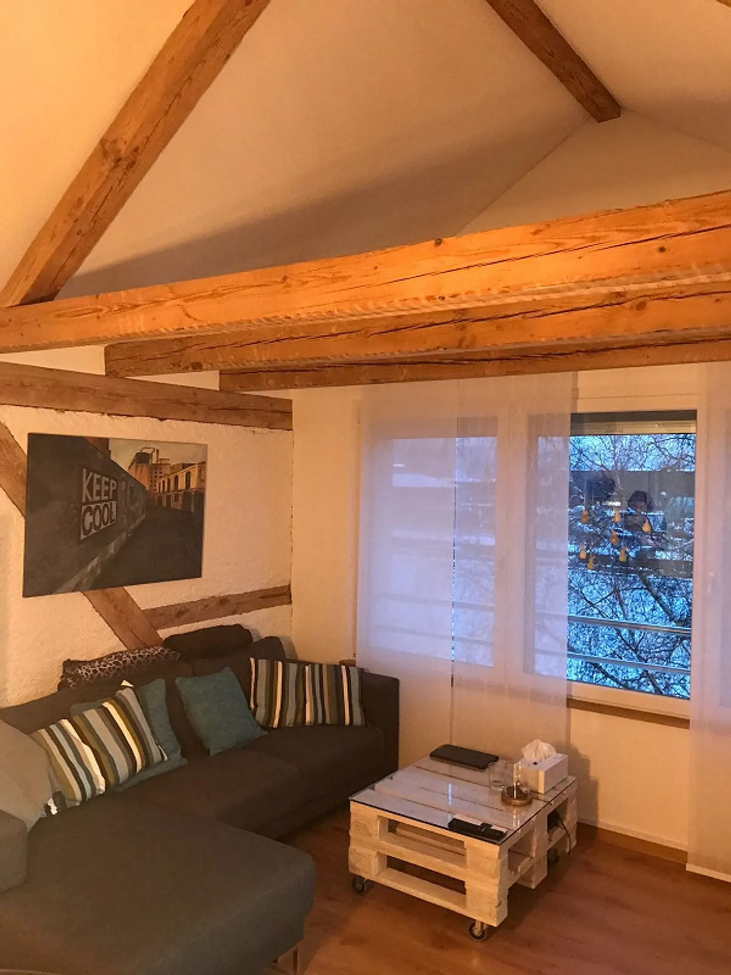 Jolie appartement sous les combles avec terrasse - un bijou - Photo 4 sur 15