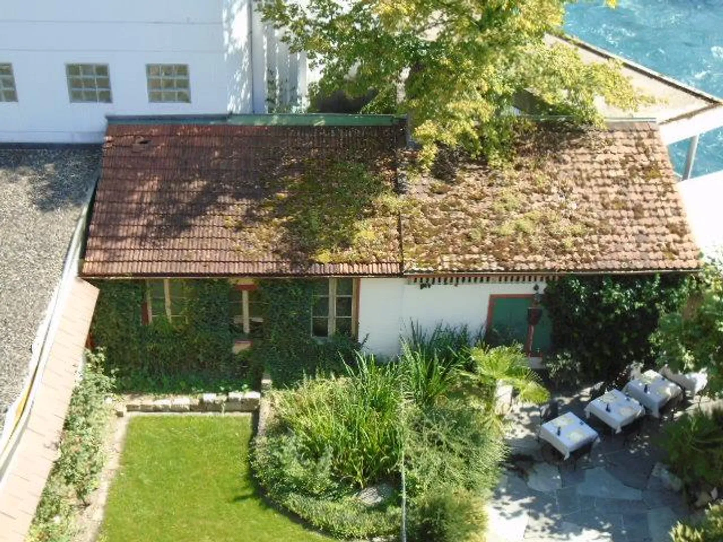 Espace commercial avec jardin et terrasse - Photo 2 sur 11