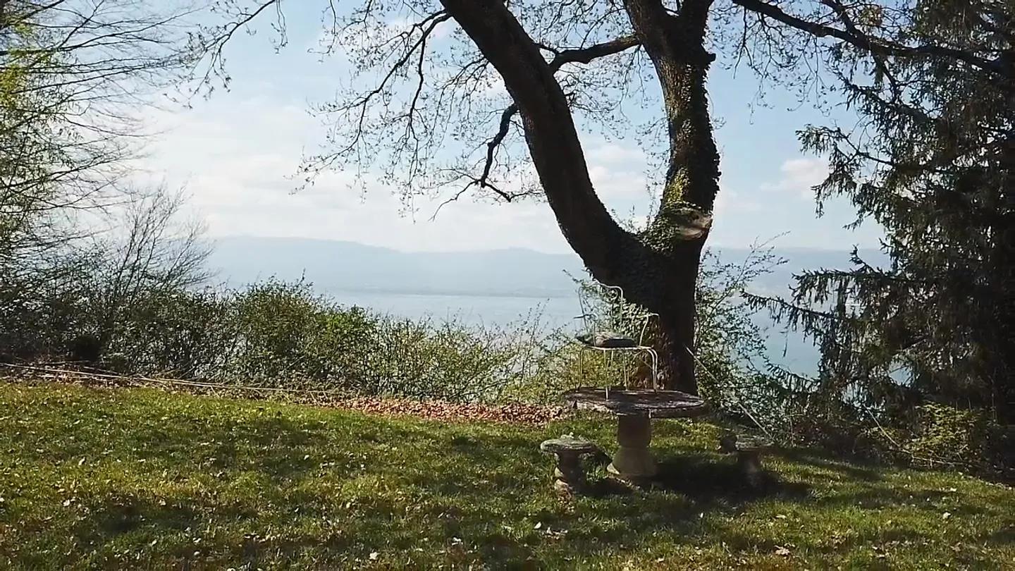 Opportunité unique : Terrain à bâtir avec vue sur le lac à Vully-les-Lacs - Photo 1 sur 10
