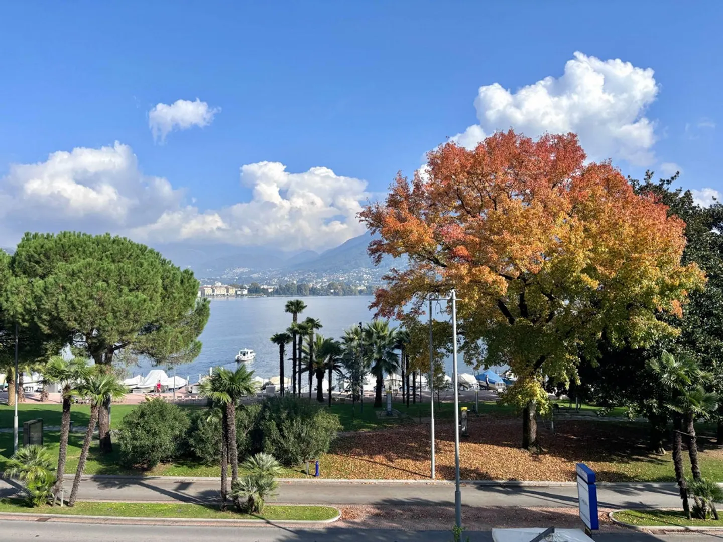 In prima fila fronte lago, a Paradiso. - Foto 2 di 13