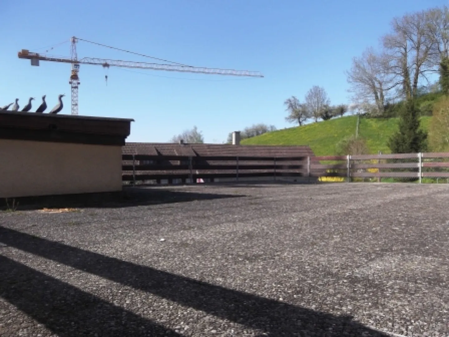 Raumwunder mit riesiger Terrasse - Foto 12 von 13