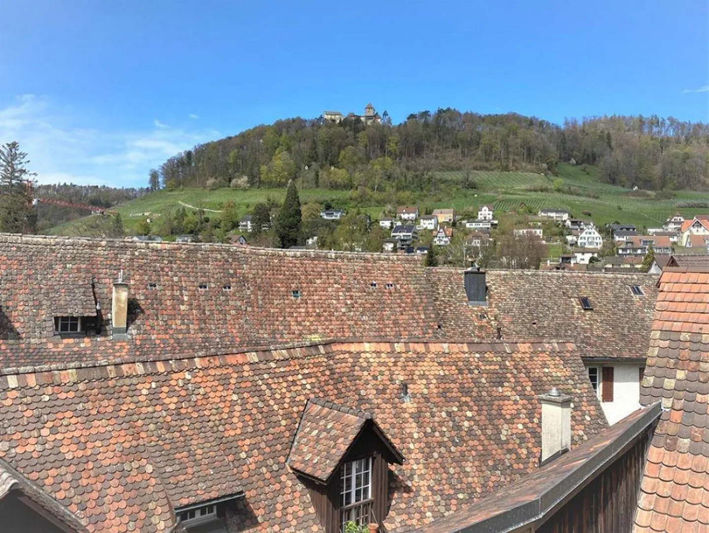 Maisonette apartment in a historic building in Stein am Rhein - Photo 14 of 16