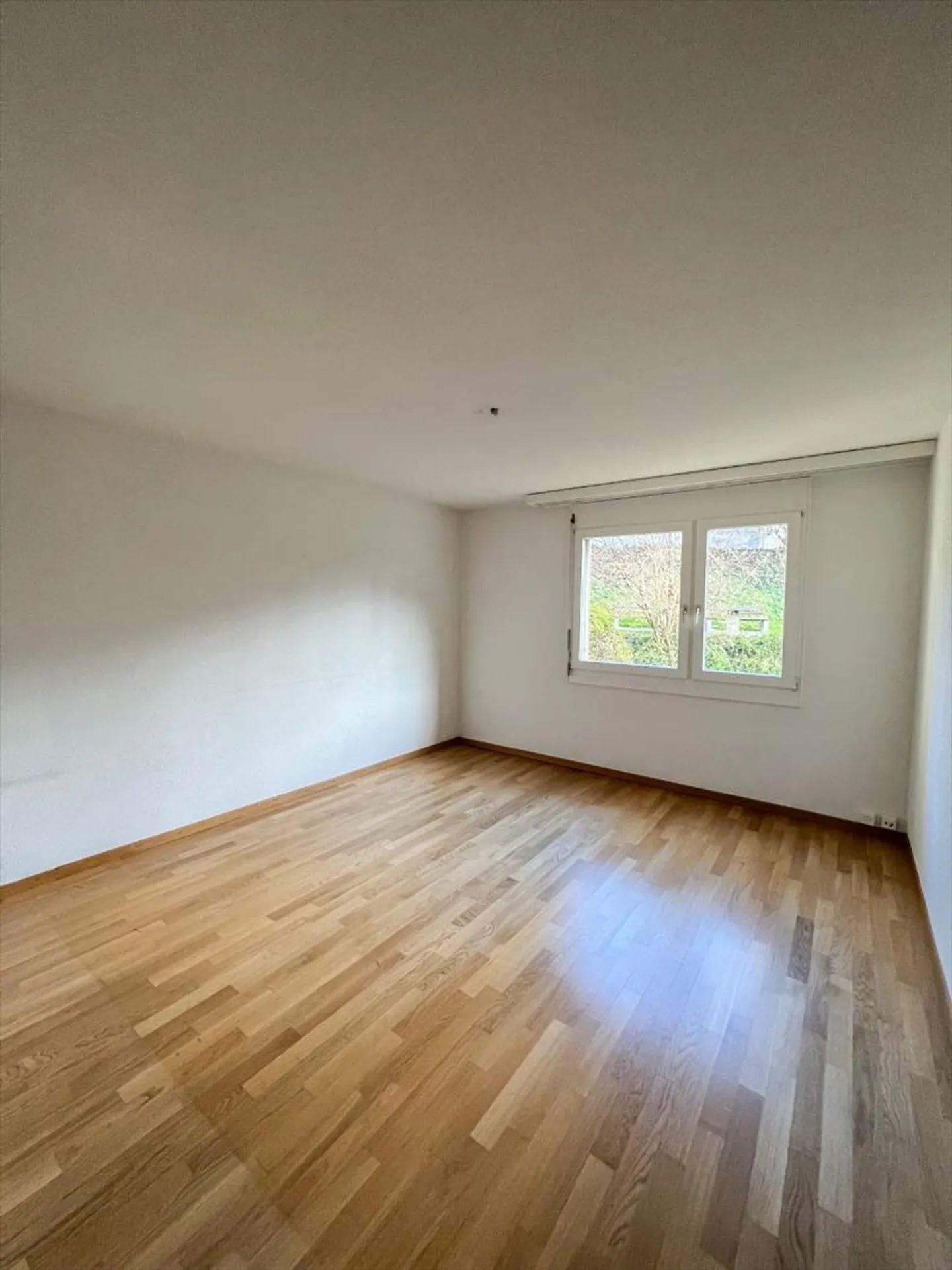 «Ihr neues Zuhause» - Foto 4 von 7