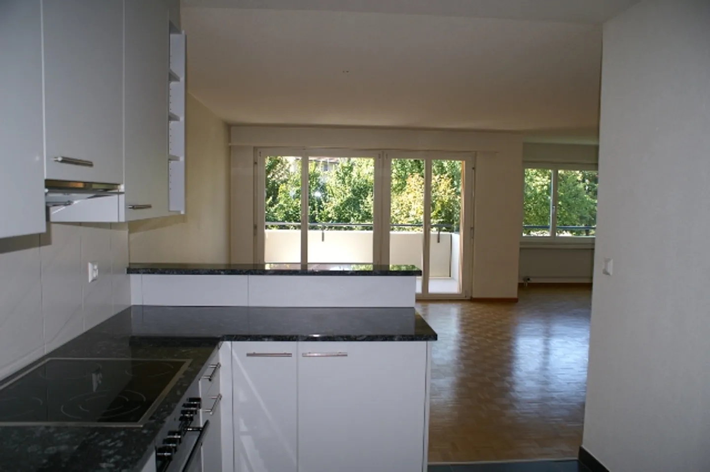 LOUER SANS DÉPÔT - appartement central dans le vert - Photo 2 sur 9