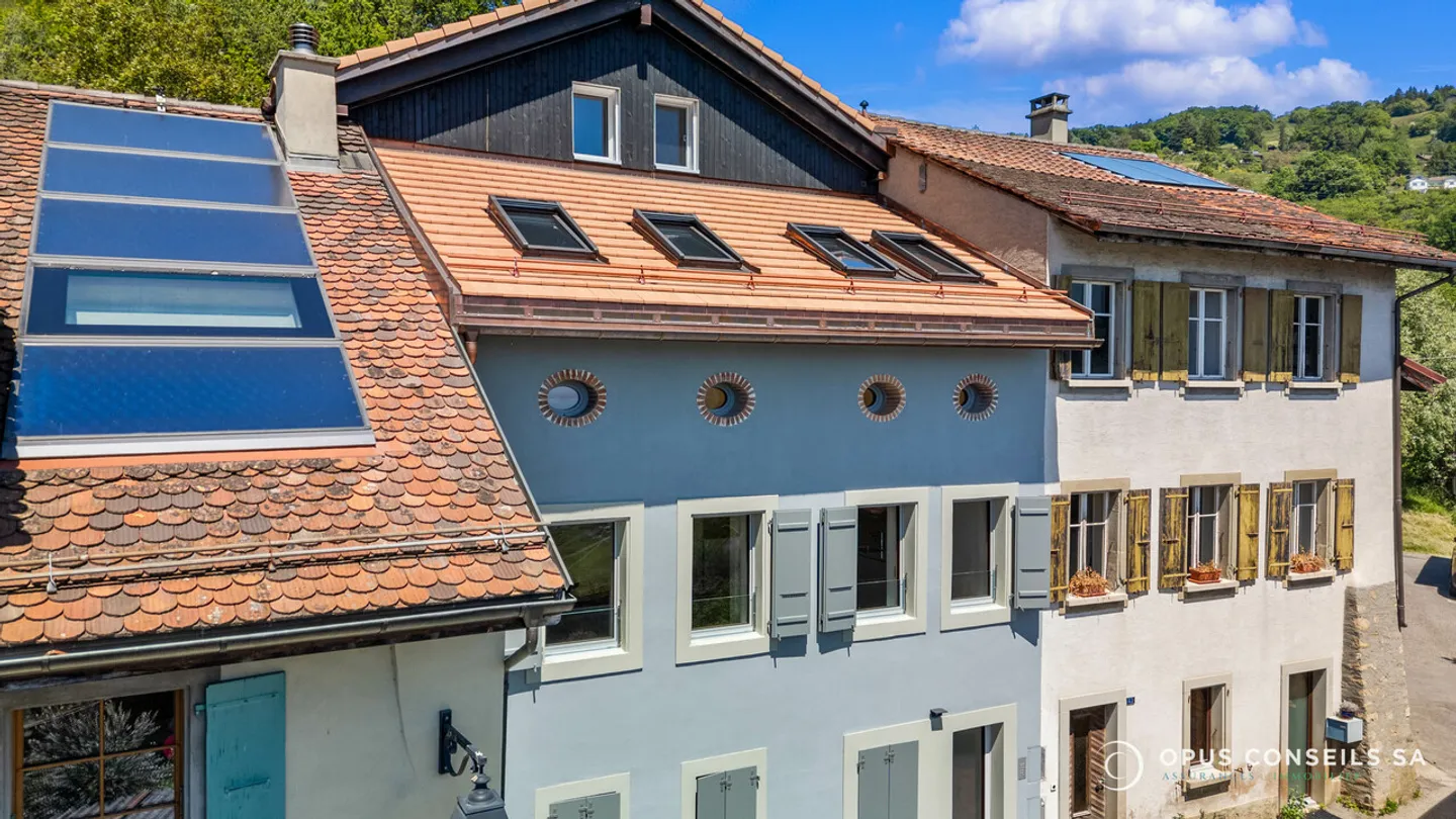 Magnificent 5.5-room duplex in the heart of the vineyard - Photo 2 of 14