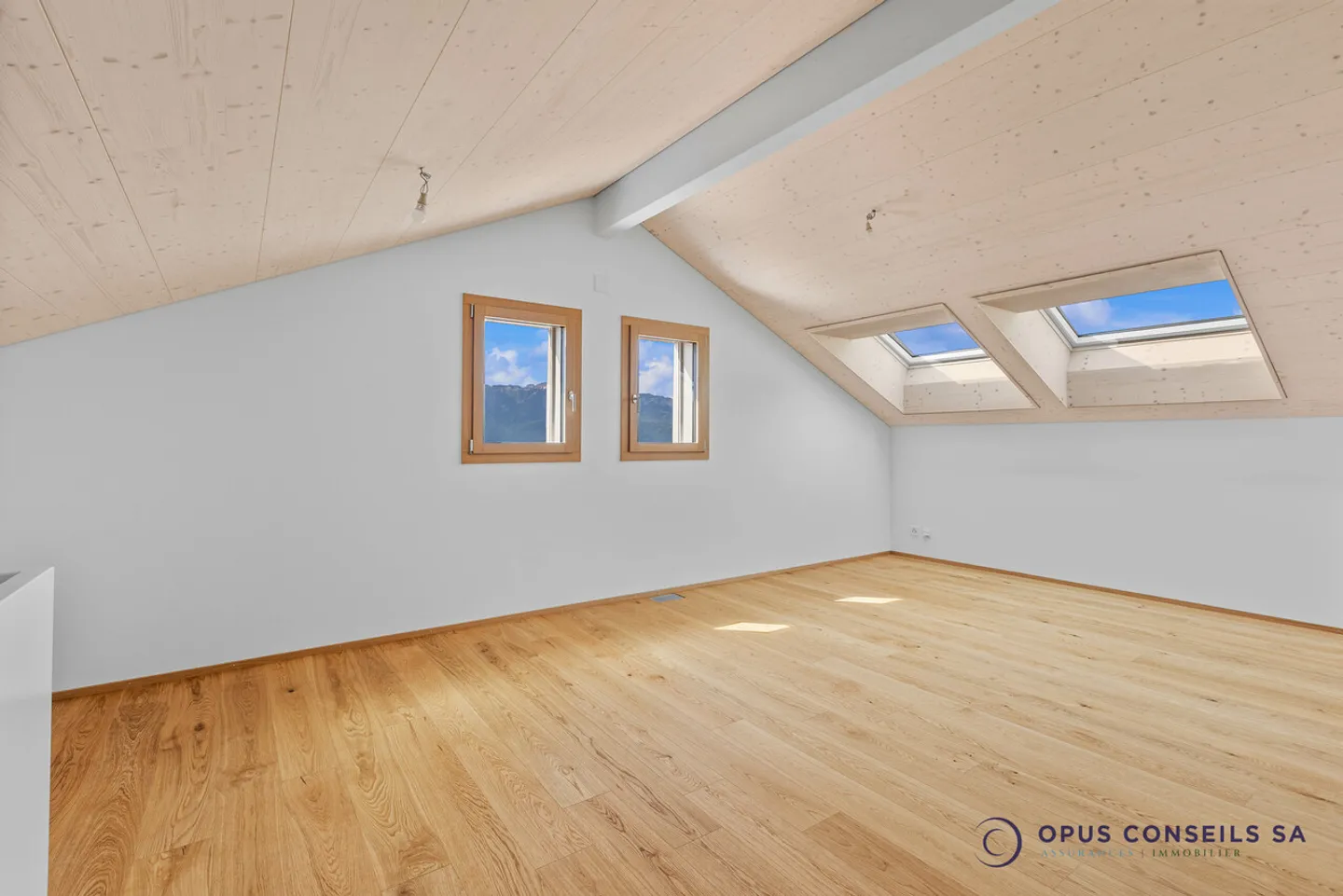 Magnificent 5.5-room duplex in the heart of the vineyard - Photo 7 of 14