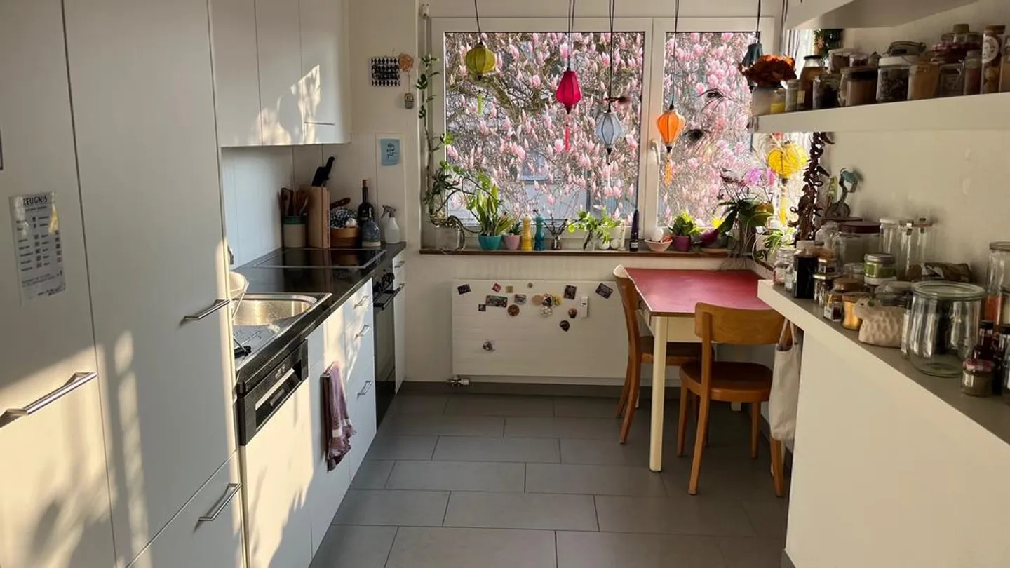 Cozy 4-Room Apartment in Rapperswil - Photo 2 of 8