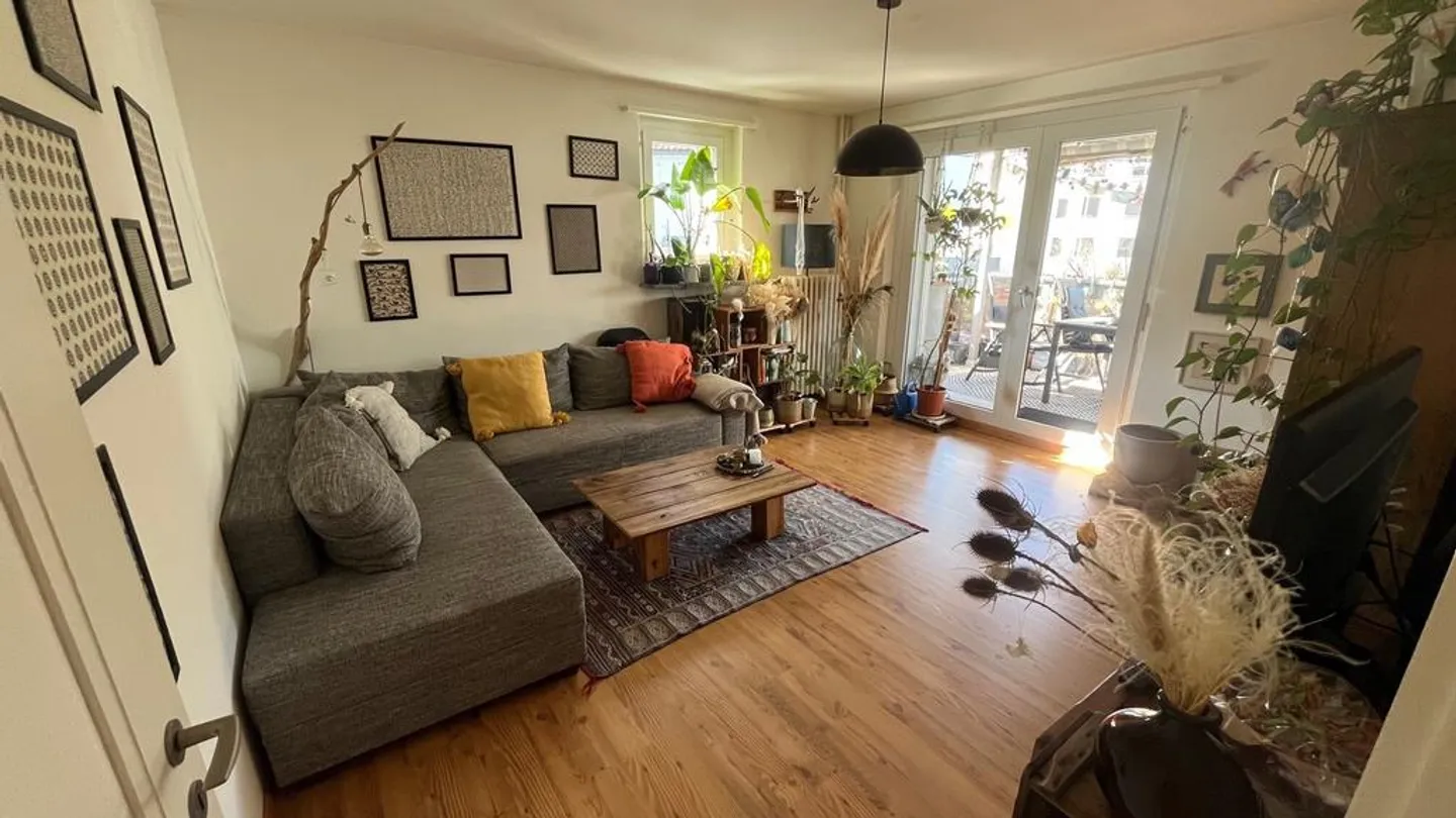 Cozy 4-Room Apartment in Rapperswil - Photo 3 of 8