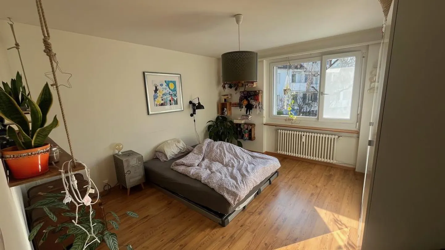 Cozy 4-Room Apartment in Rapperswil - Photo 4 of 8