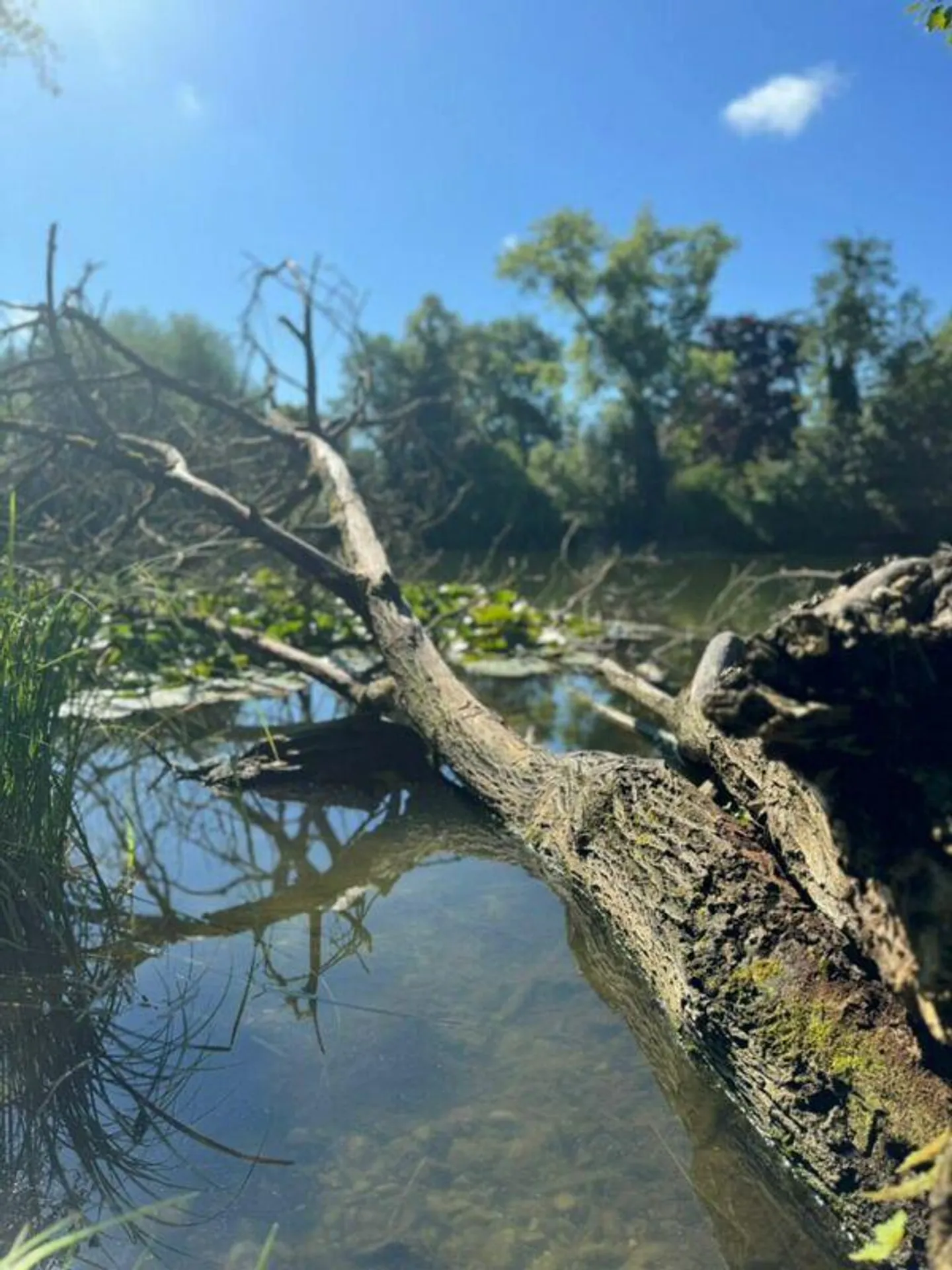 Representative 6.5-room old building apartment with generous 209 m² living space - Photo 25 of 25