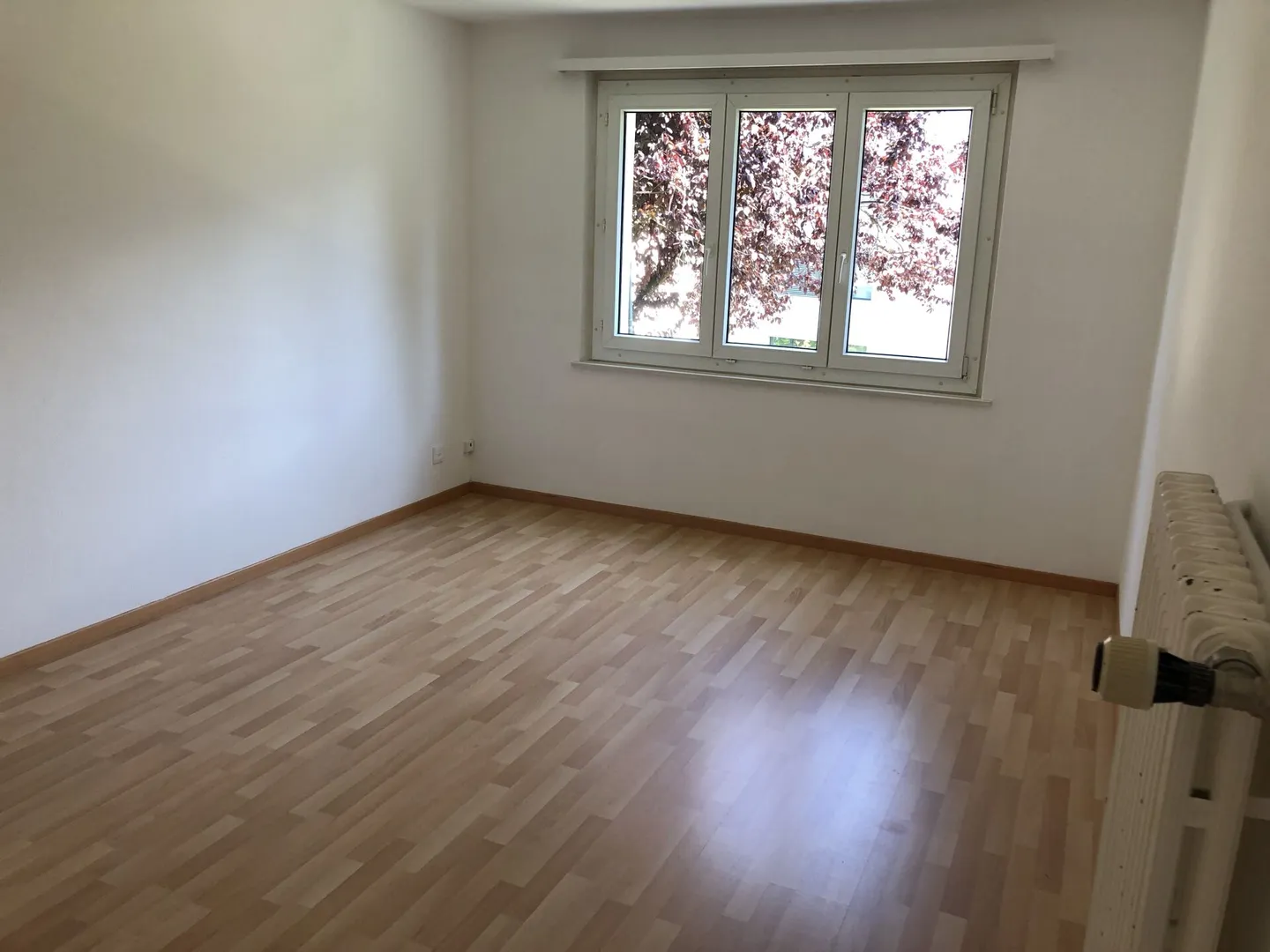 Sunny 4-room apartment in Sarnen - Photo 4 of 10