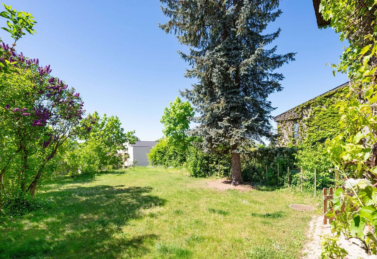 Living in the Garden Idyl on the Best South Slope Location - Photo 2 of 15
