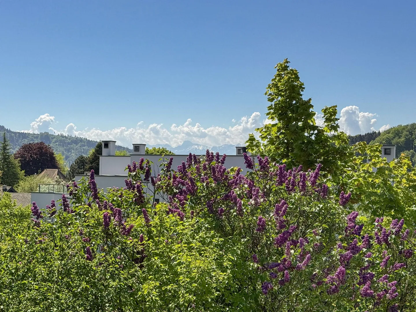 Living in the Garden Idyl on the Best South Slope Location - Photo 3 of 15