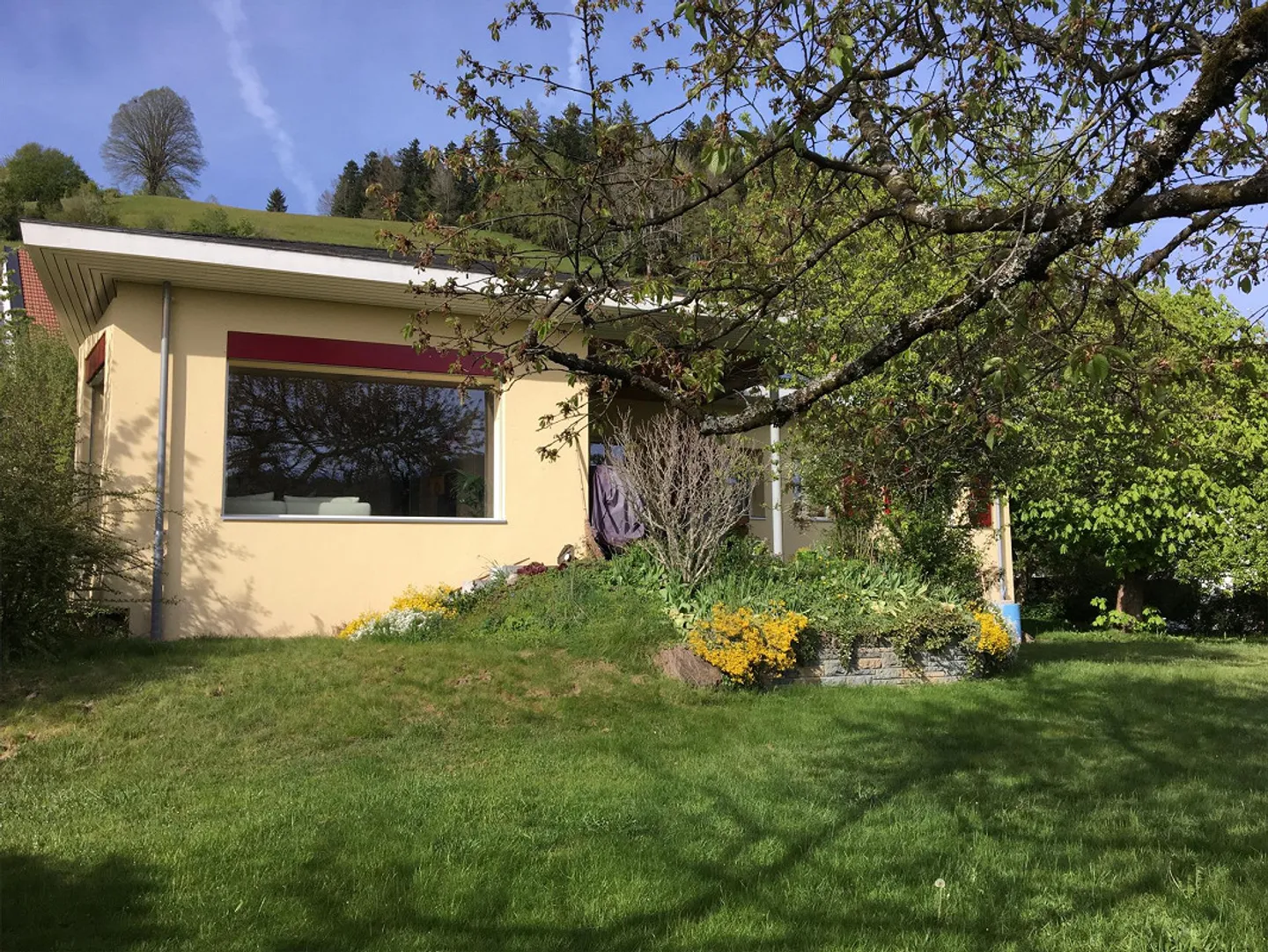 Quiet 6 ½ Room Single Family House in Top Location in 3550 Langnau - Photo 1 of 8