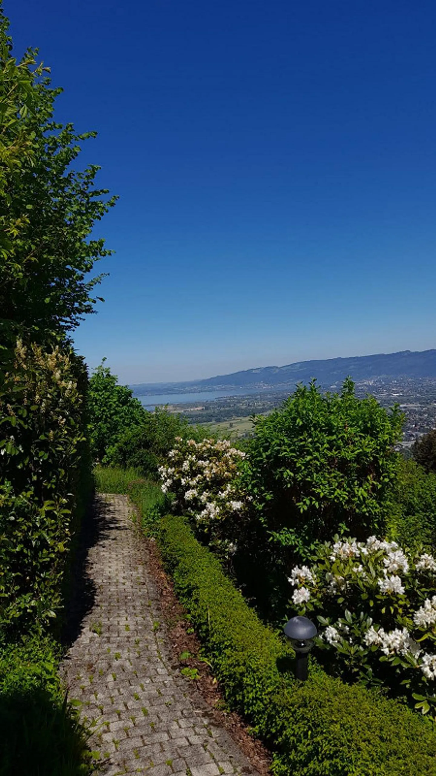 Wunderschönes 7 1/2-EFH - Liebhaberobjekt - Top Aussicht - Foto 3 von 13