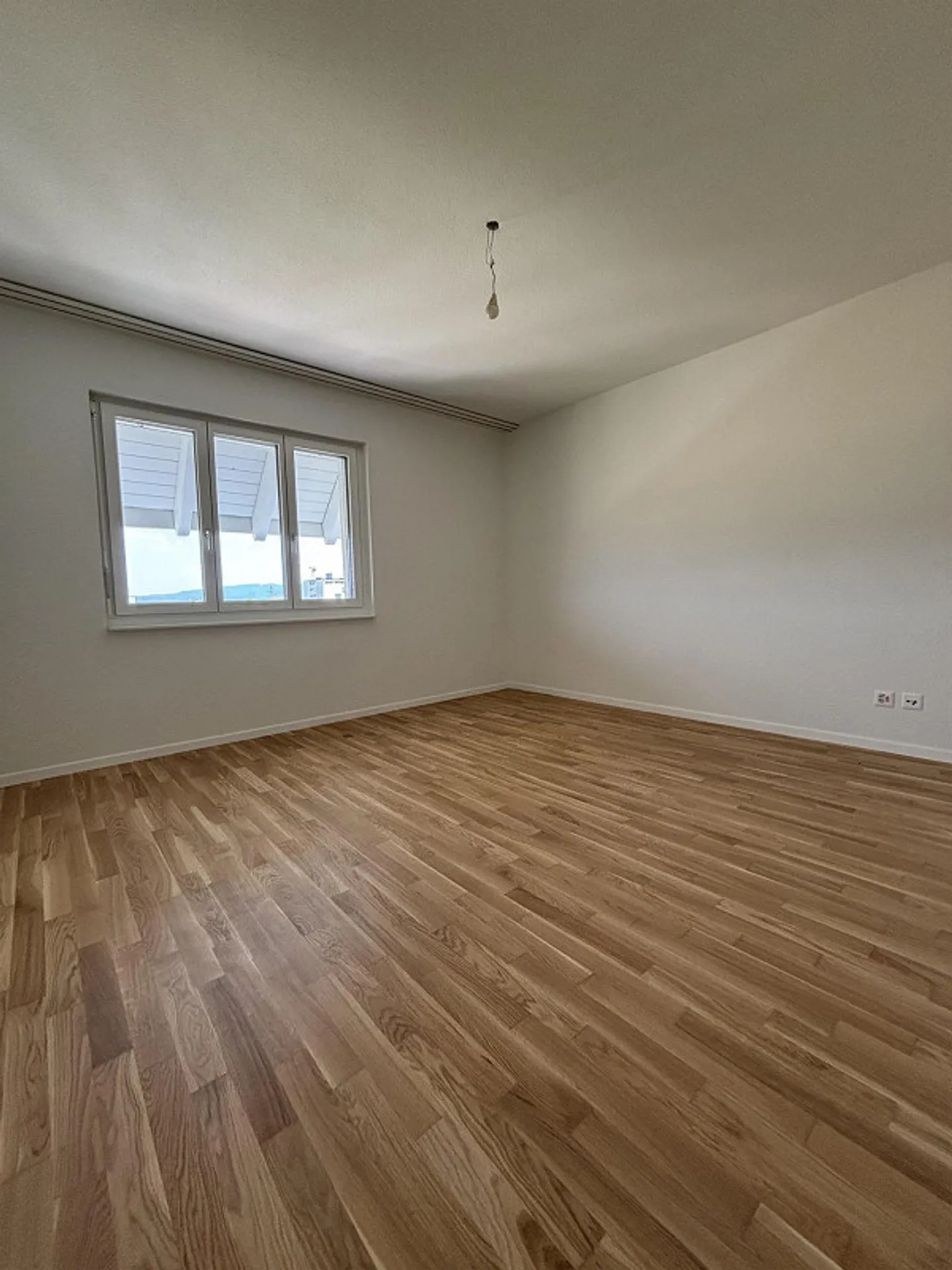 Completely renovated attic apartment for first occupancy - Photo 6 of 9